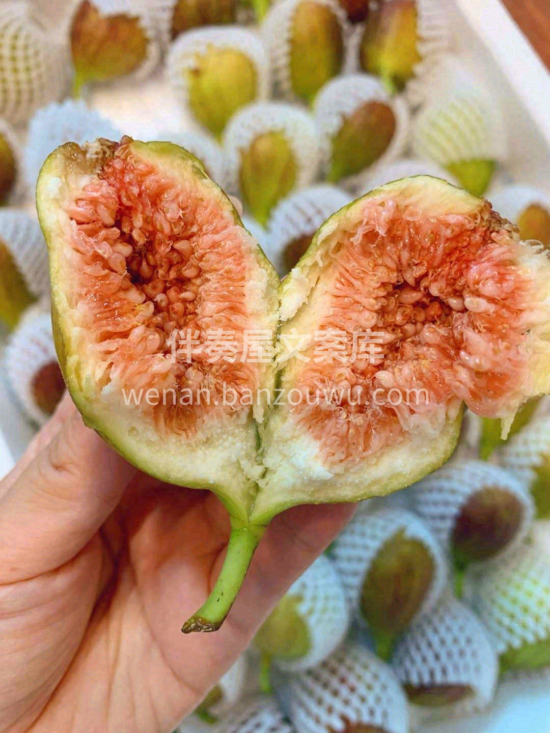🌺甜蜜软糯，还有属于大自然的清新🌿 是一 配图1
