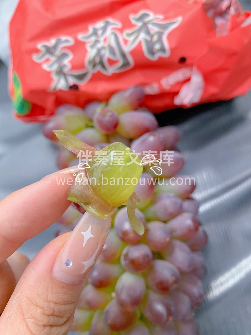 真是超爱郁金香🌷 这个可可爱爱的小葡萄🍇 配图3