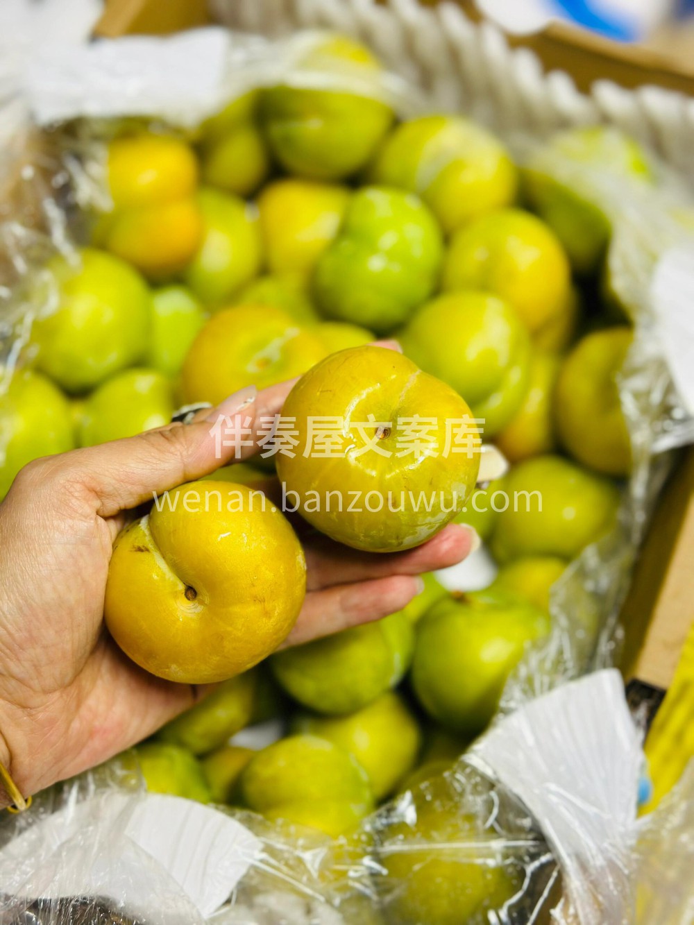蜂糖李也太好吃了😋李中之王👍🏻蜂糖李口感 配图1