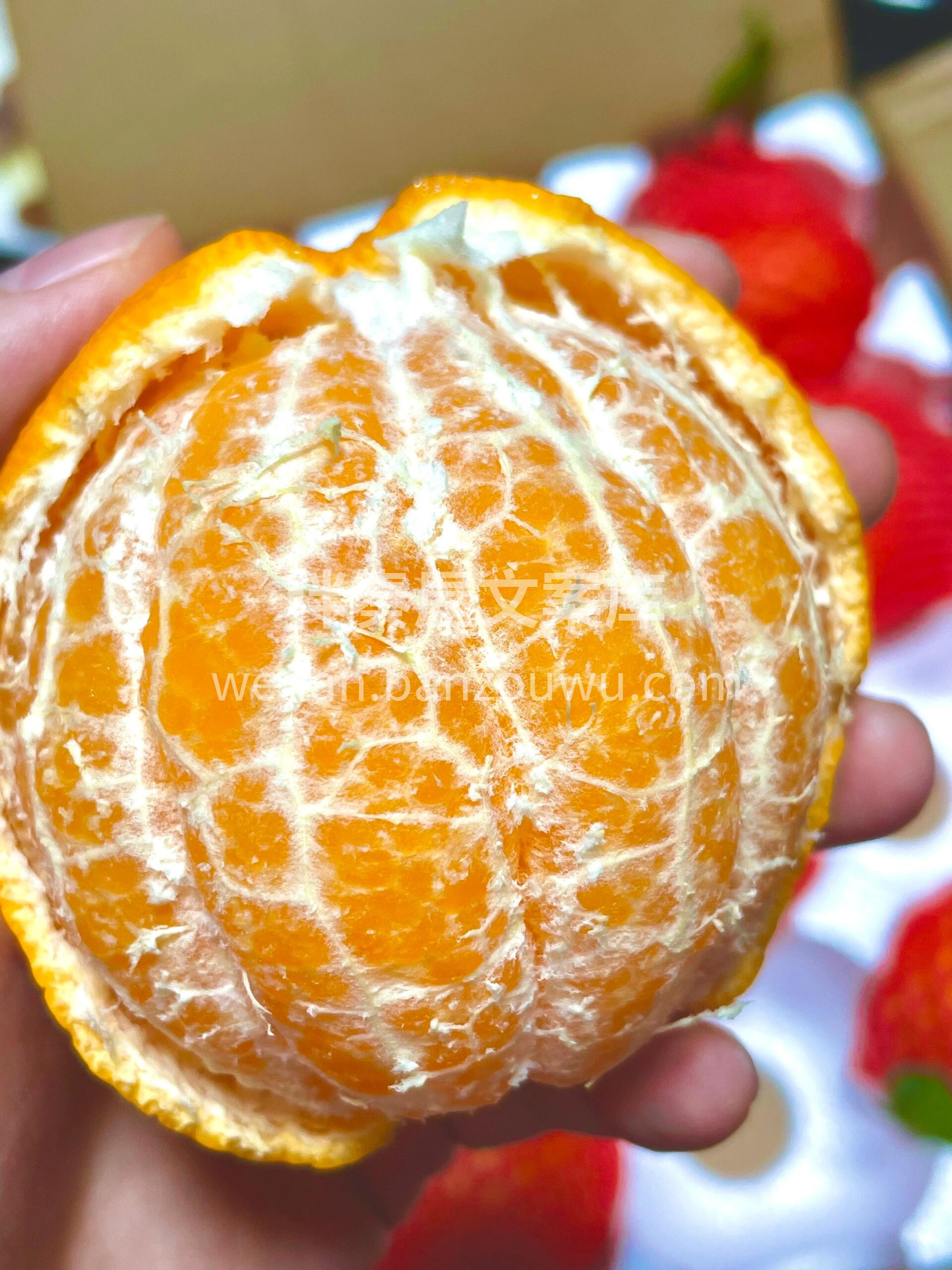 春天最好吃的柑——大雅柑🧡 甜甜的“鱼籽 配图1