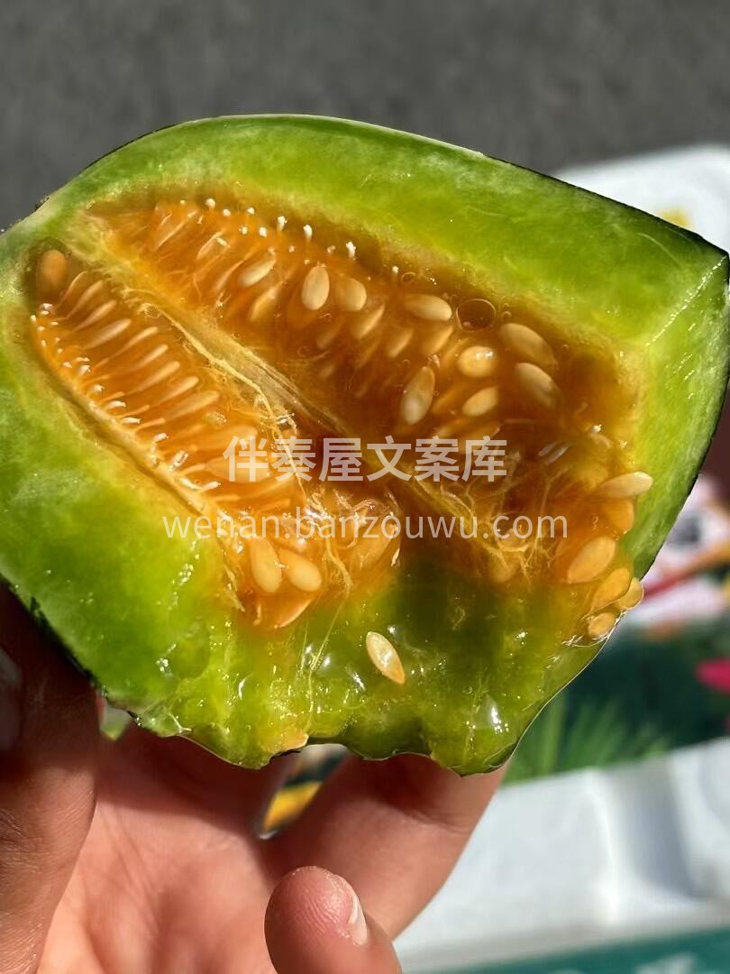 春天☀的香瓜，暖阳笼罩☔的屋檐 博洋九给 配图2