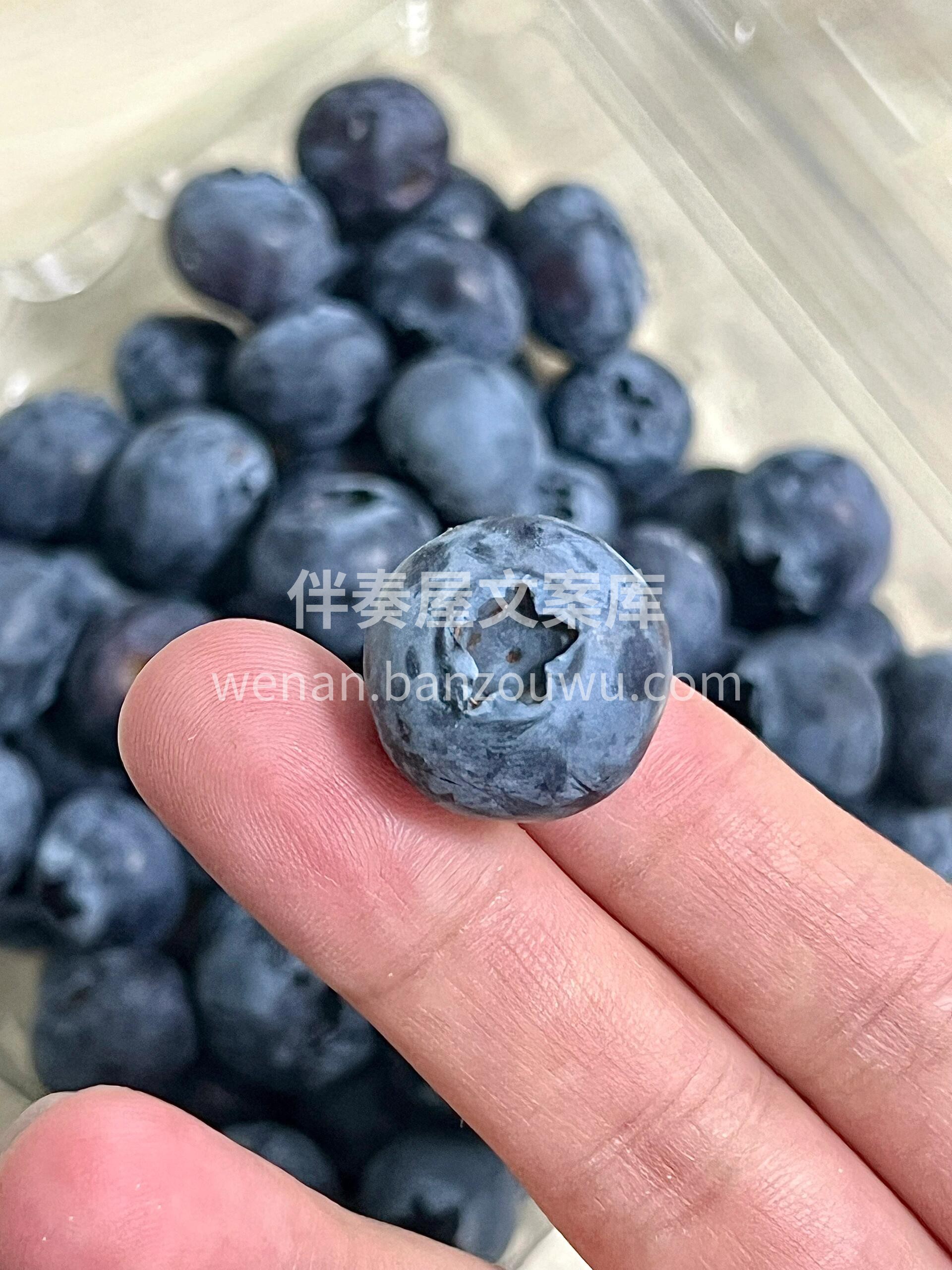 世上皆可爱^，愿您每天莓烦恼 颗颗新鲜， 配图2