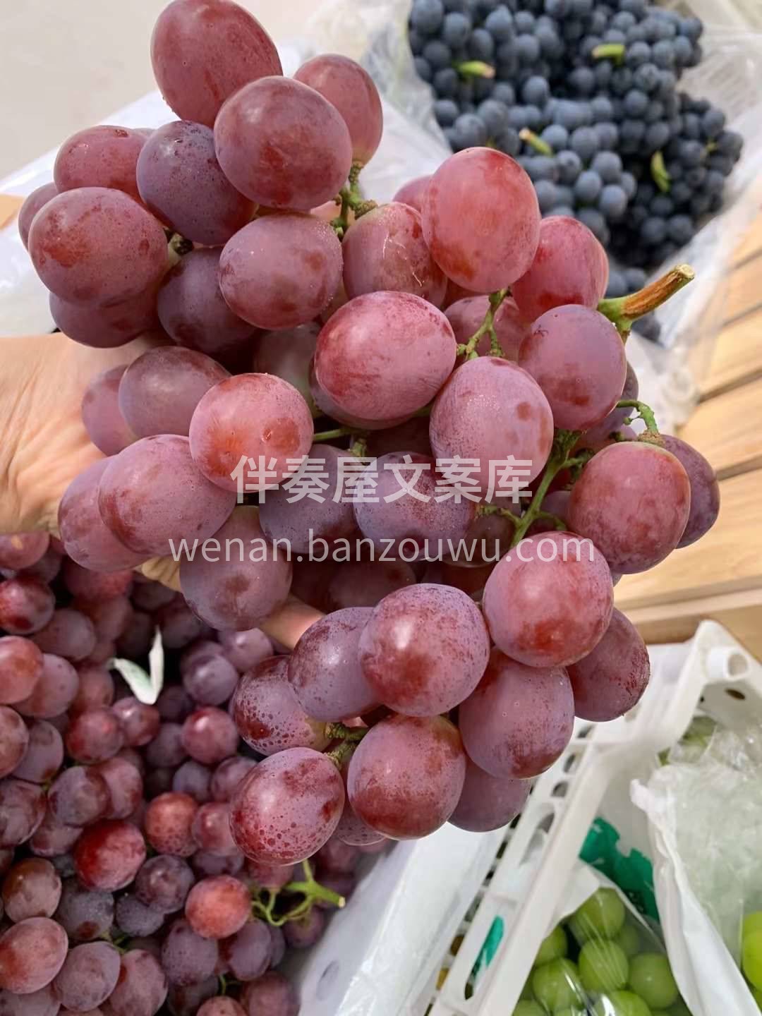 “硬货”到了！吃红提的季节来咯🍇 红提圆 配图1