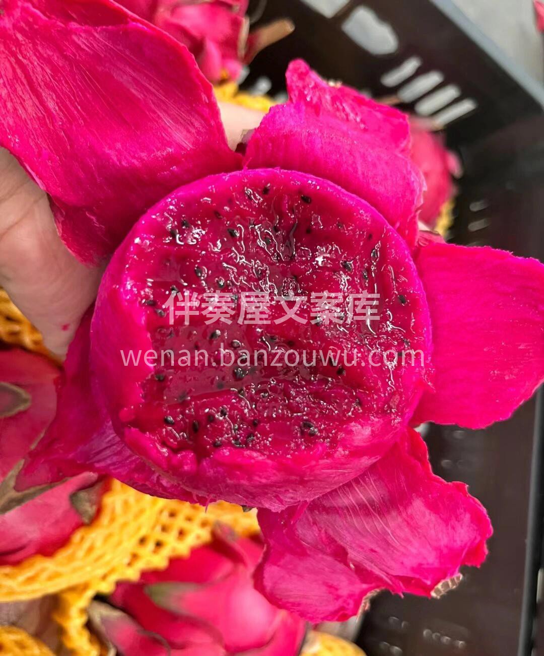 午间福利到❤️‍🔥📣 来个红心火龙果清清 配图1