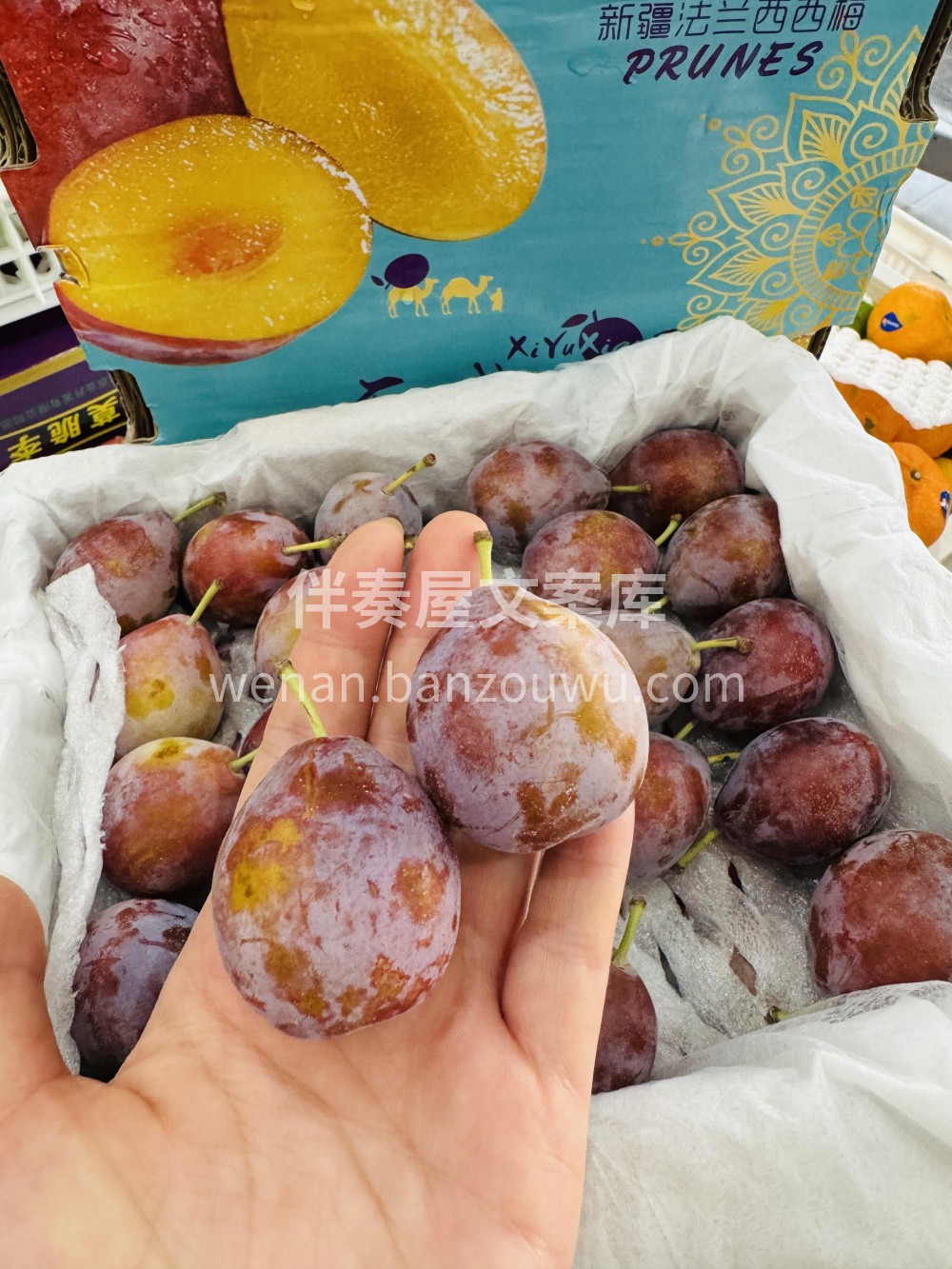 新疆法兰西西梅新上市❗️ 纯甜无酸😋，一 配图1