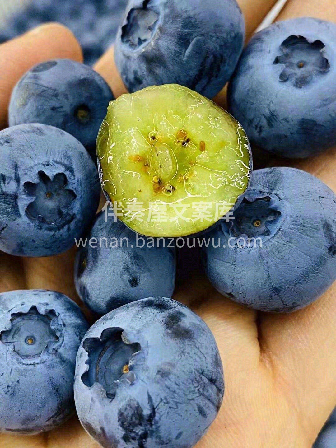 一颗颗的蓝莓，沾上小小的水珠💦 轻咬下去 配图2