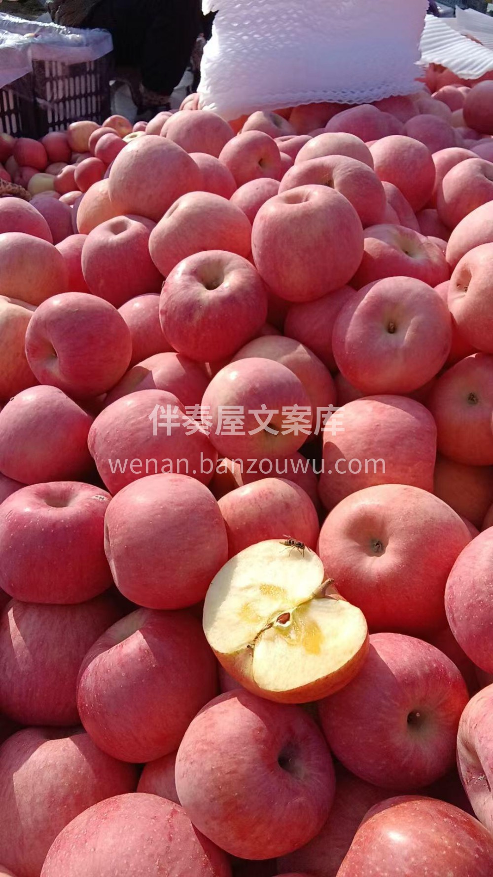 洛川苹果🍎 一口下去酥甜不瓷实～满口苹果 配图2