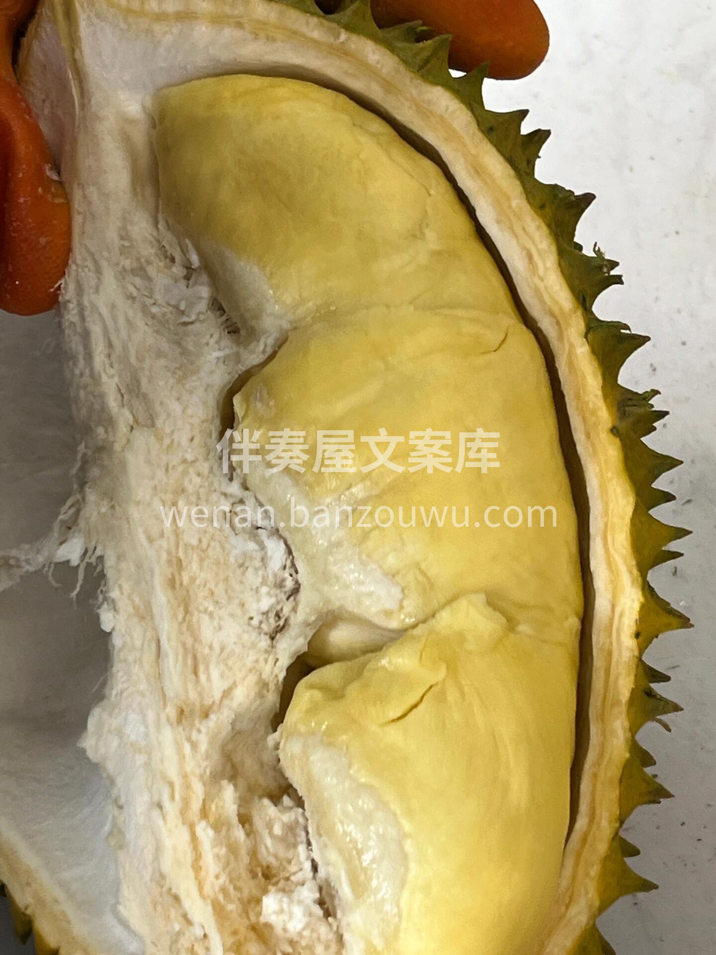 卖榴莲啦‼️金枕榴莲最新到货🔥 👏今天开 配图1