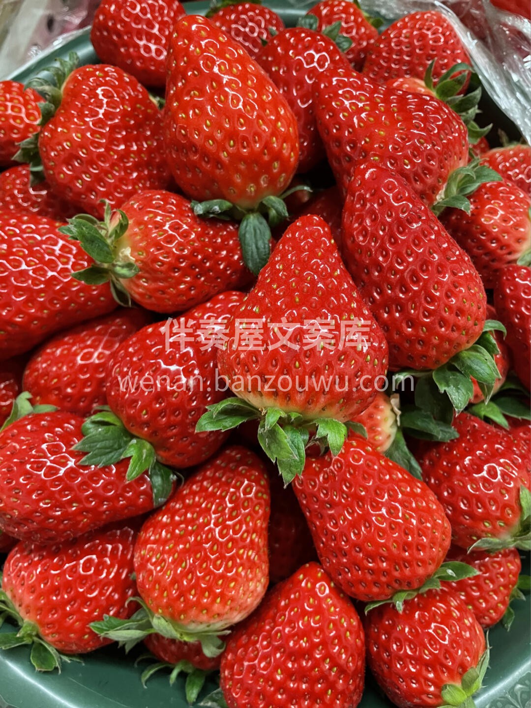 “少女心的收割机”🌹🌹，每一颗都能给你心 配图1