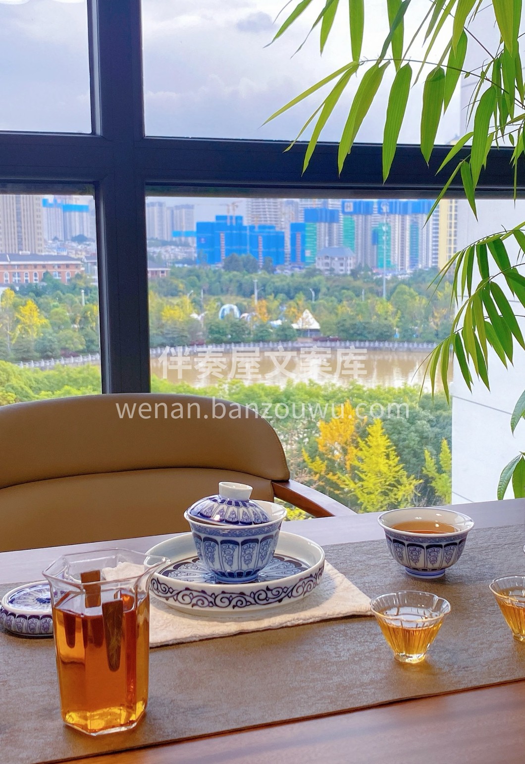 政和工夫·闽北红茶雅韵 桐木关云雾滋养， 配图3