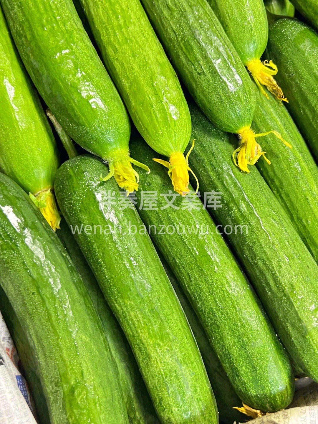 “迷你小黄瓜”🥒，吃起来的味道口感都很棒 配图1
