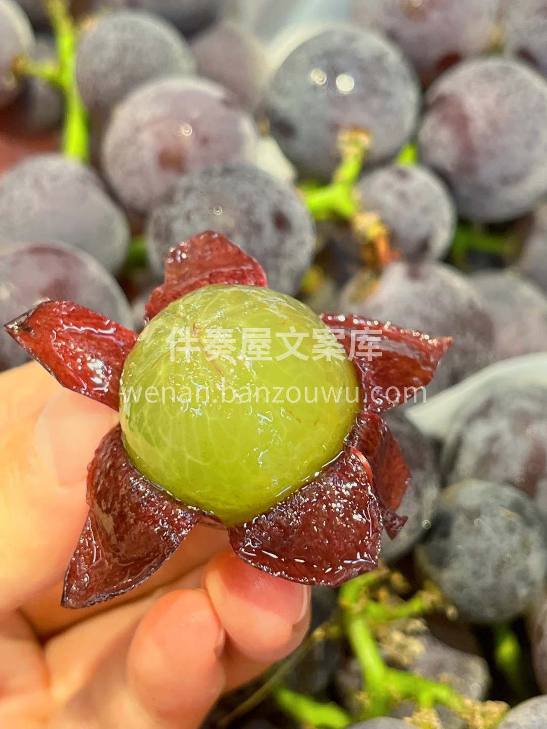 巨峰葡萄，汁水充足，口感好到爆棚😍 葡萄 配图1