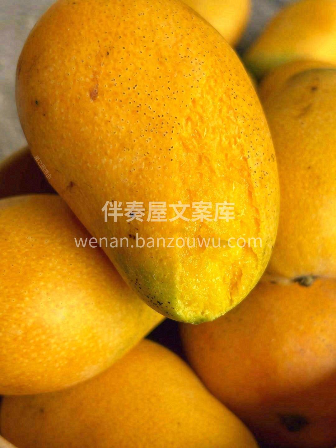 春天不迷茫🥭 浓缩才是精华🐣 这是一颗让 配图3