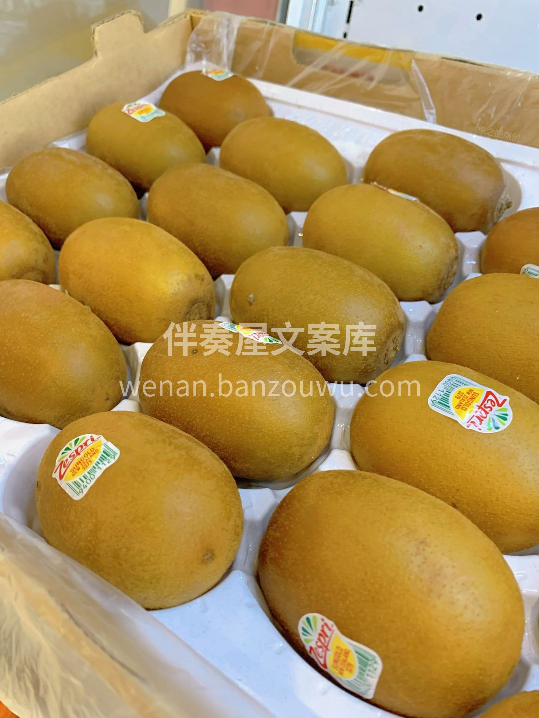 金果的截面，像日头正好的太阳🔆 金黄色的 配图3