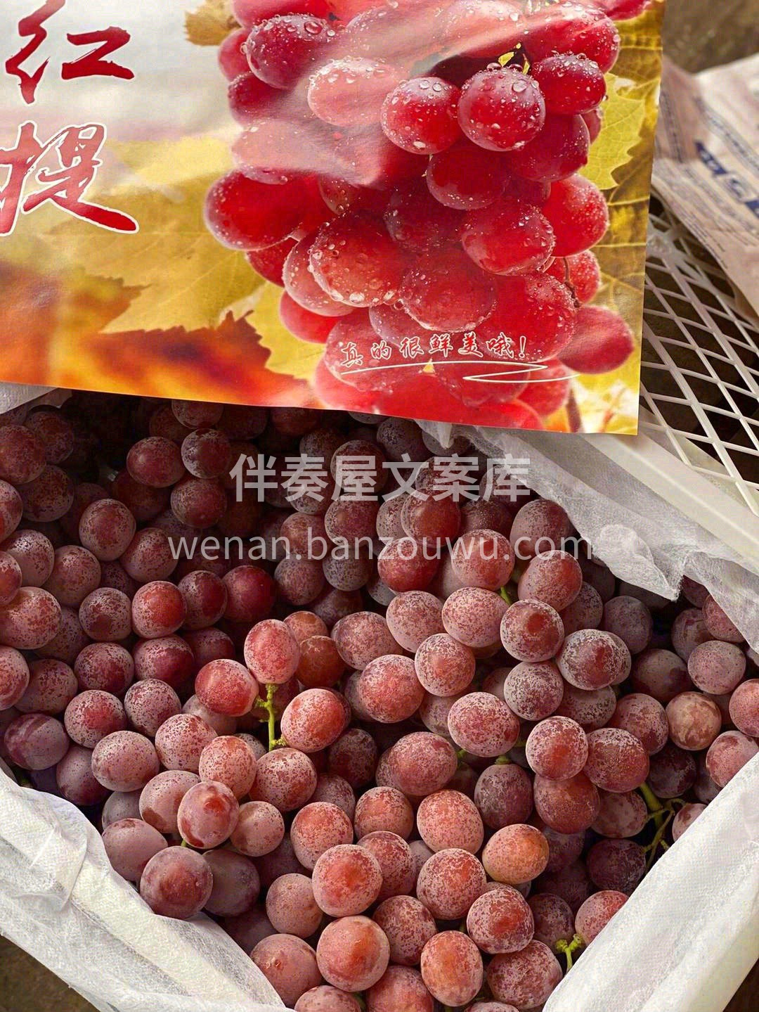 果肉脆甜多汁💦，吃上几粒🍇 剔透晶莹的果 配图2