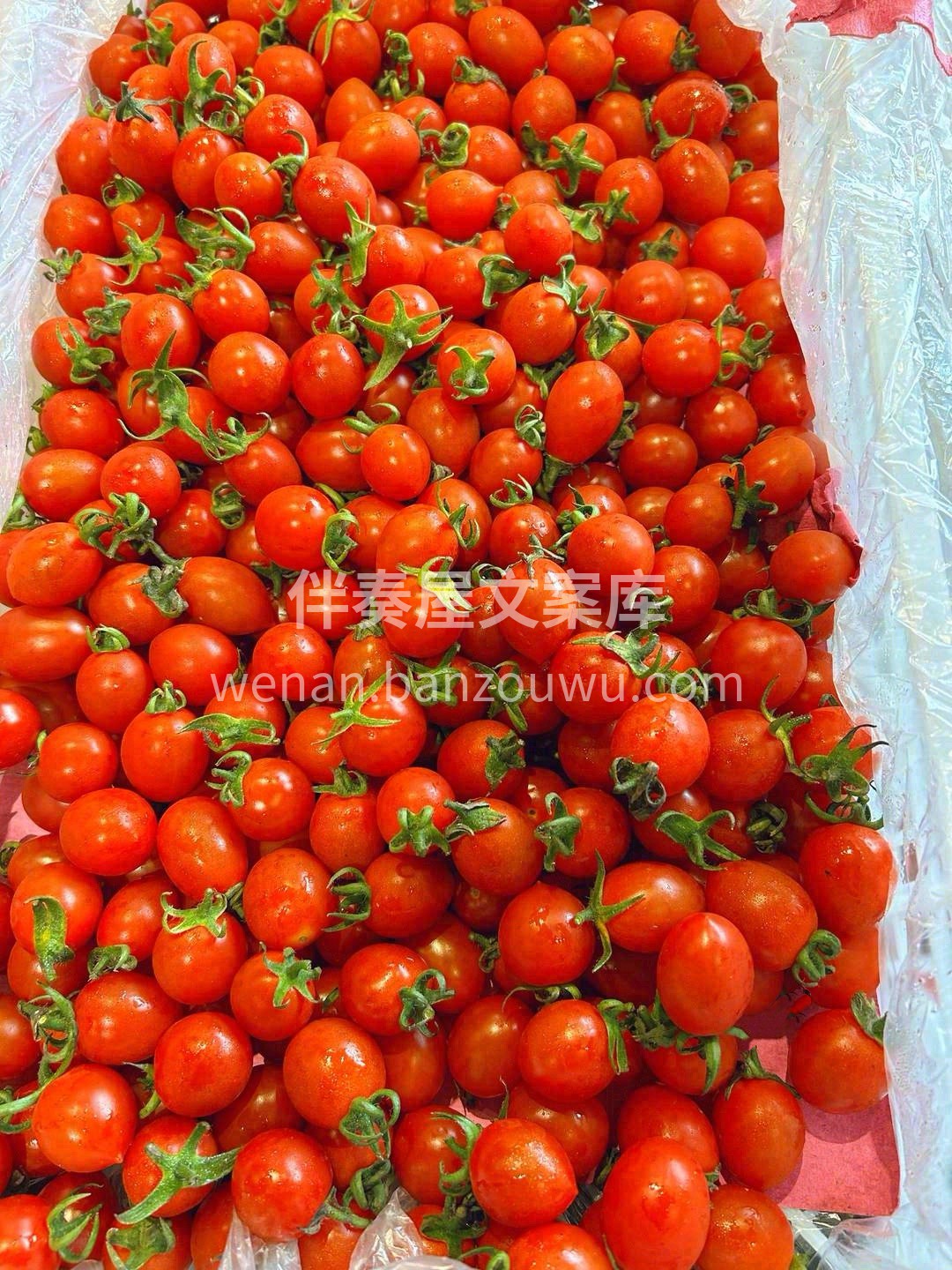 好吃的小柿子！一咬就爆汁💧💧！ 【海南玲 配图3