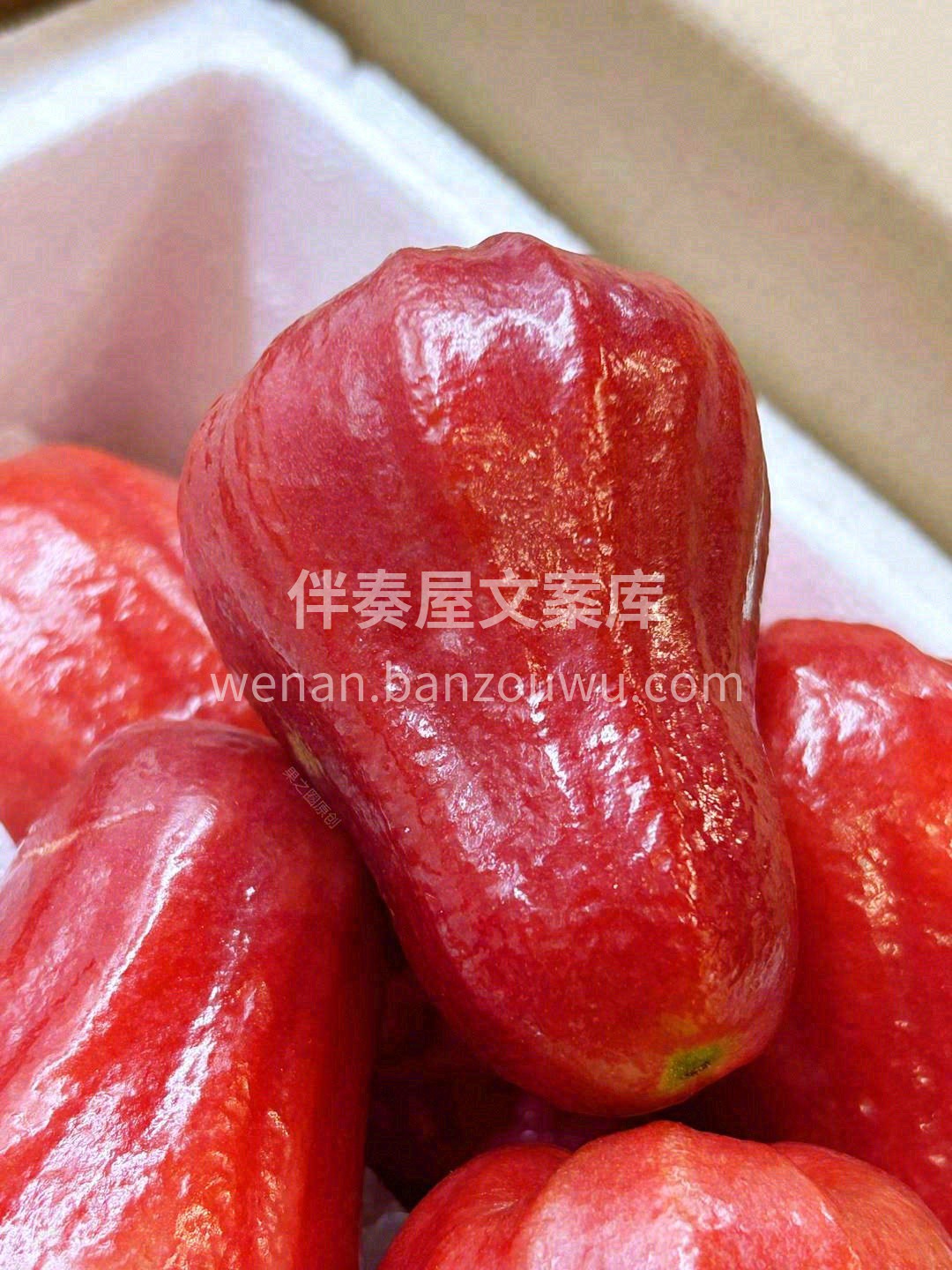 空运の蓮霧一个莲雾8杯水🧊，妥妥的“蓄水 配图3