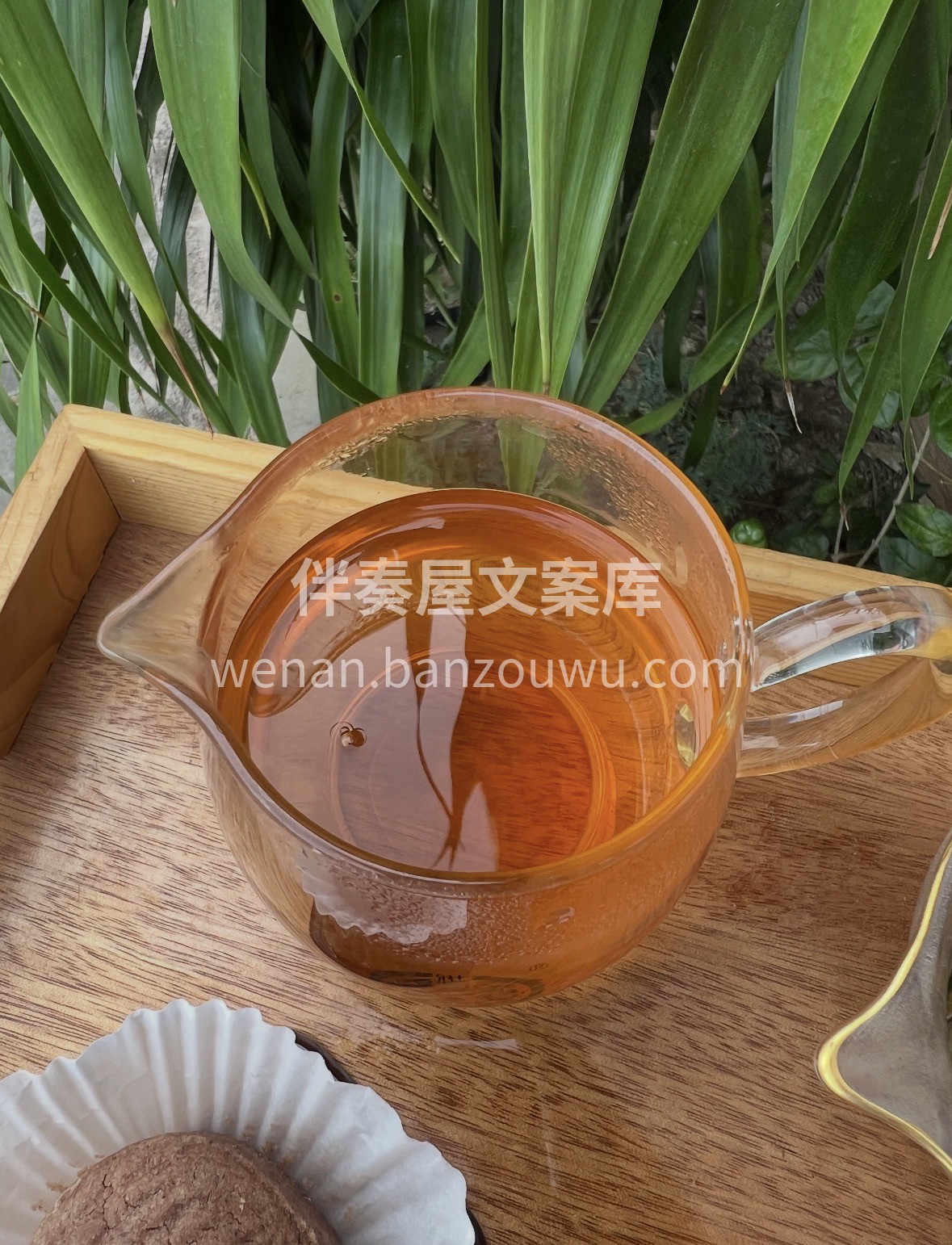 马蹄踏春归，单丛迎福来。愿新岁平安喜乐， 配图3