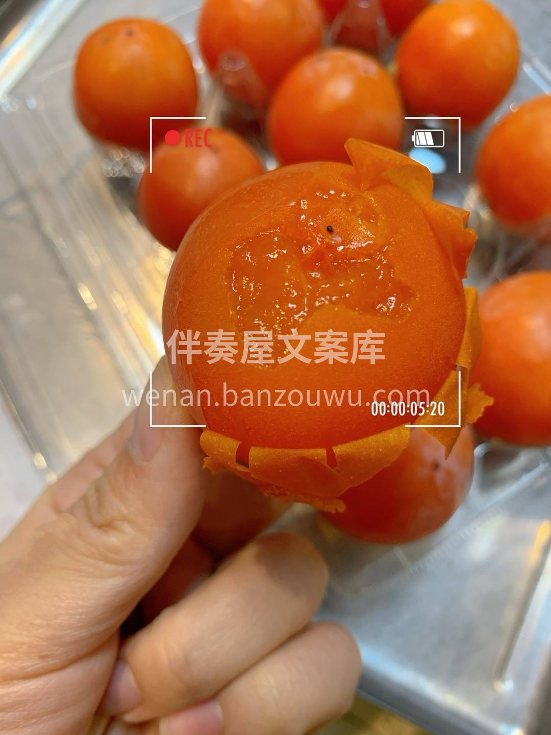 “秋日一口蜜”来啦！🔥火晶柿子个头不大不 配图2