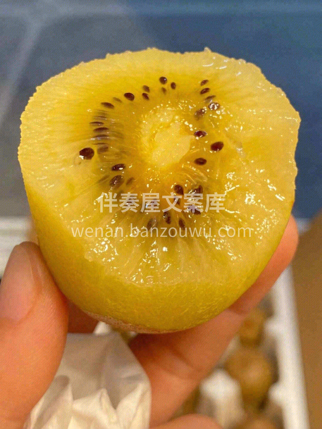 金艳猕猴桃🥝甜中浅带微酸，浓郁的果香，果 配图2