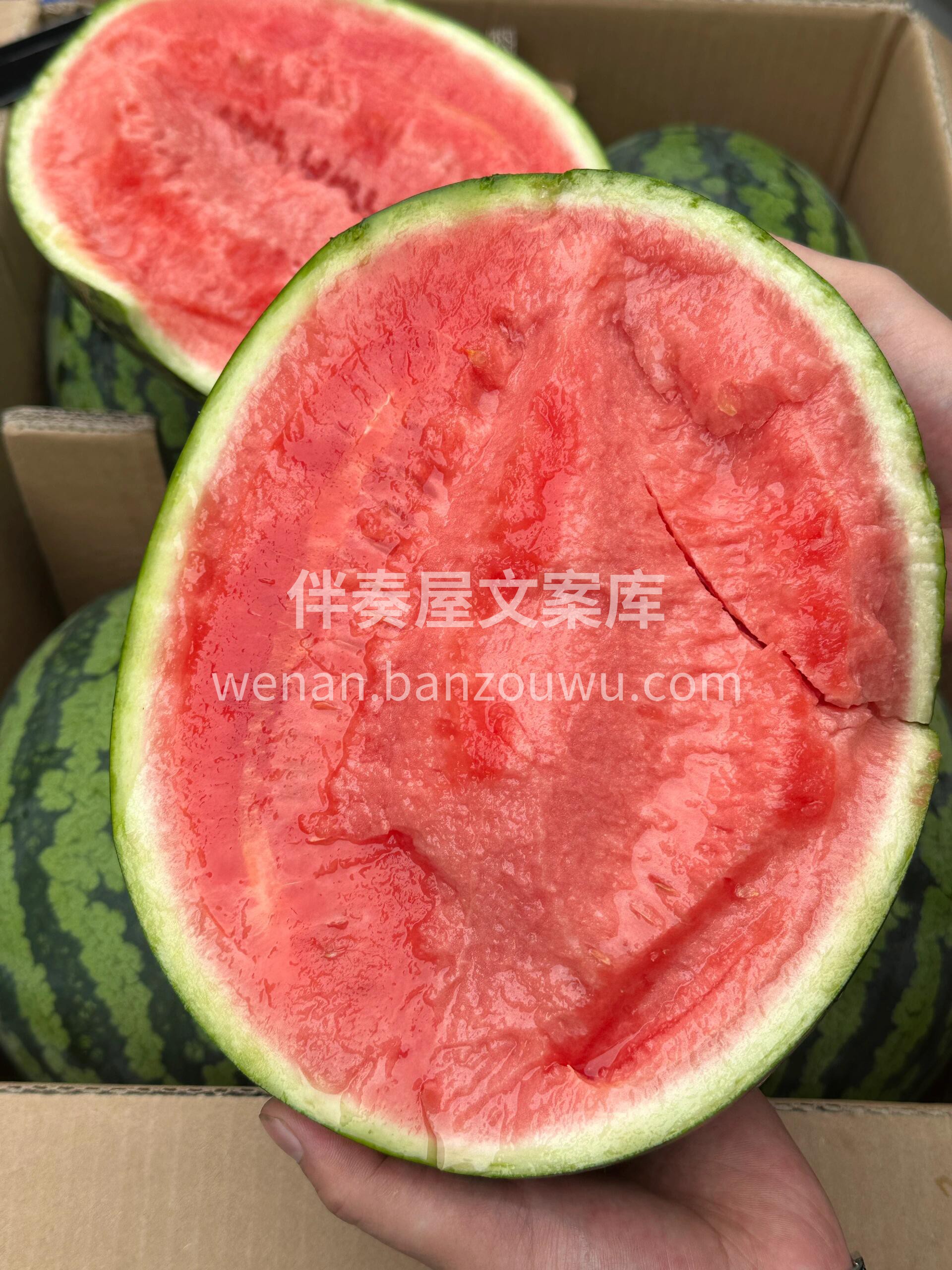 🍉瓜肉粉红，纤维少 一口脆甜，肉多汁💦， 配图2