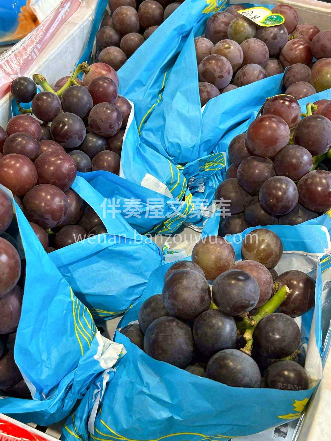 🍇这个夏天你躲不掉的一串葡萄~~ 大如乒 配图3