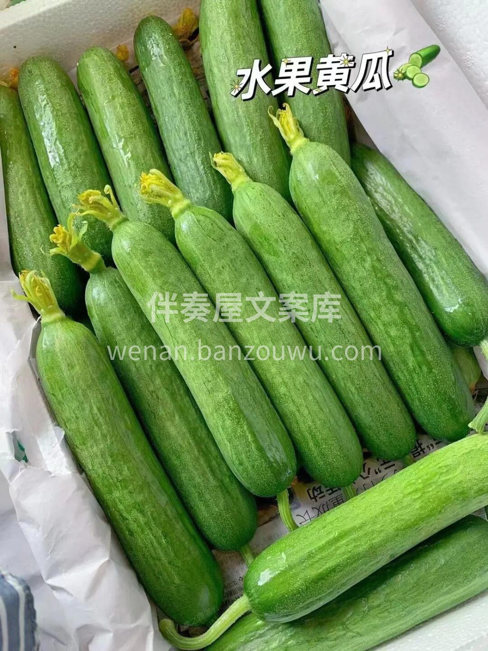 🌸 新鲜水‮黄果‬瓜💚减肥‮上路‬ 有它 配图1