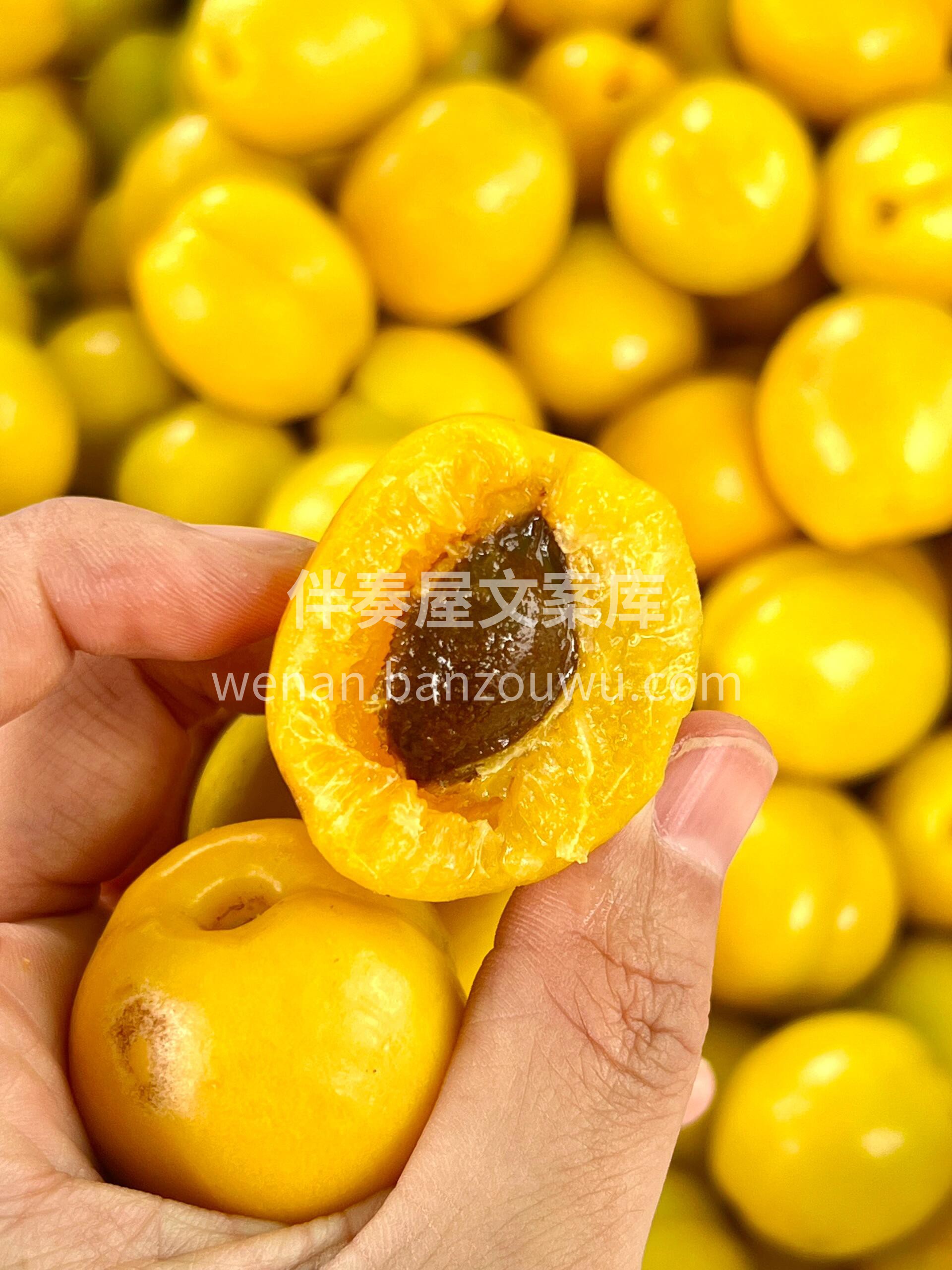 👑杏中皇后——珍珠油杏✨ 淡淡桂花香诱人 配图1