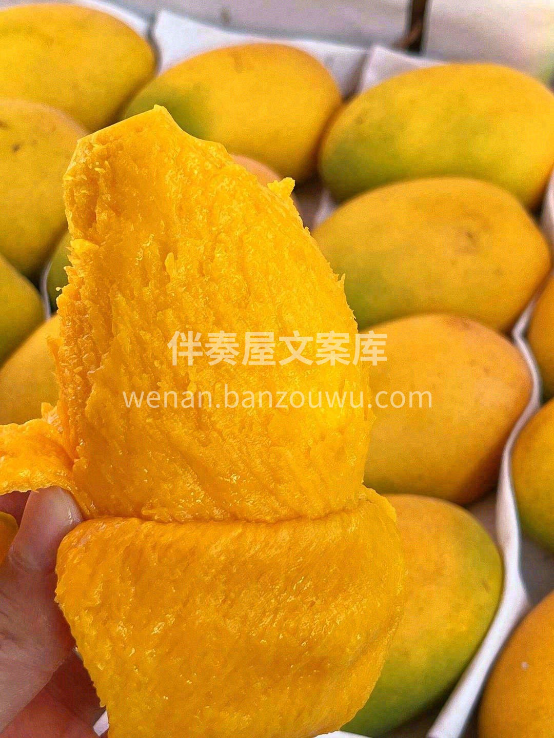 🥭小台农芒果没有高颜值外表，但有最真实的 配图2