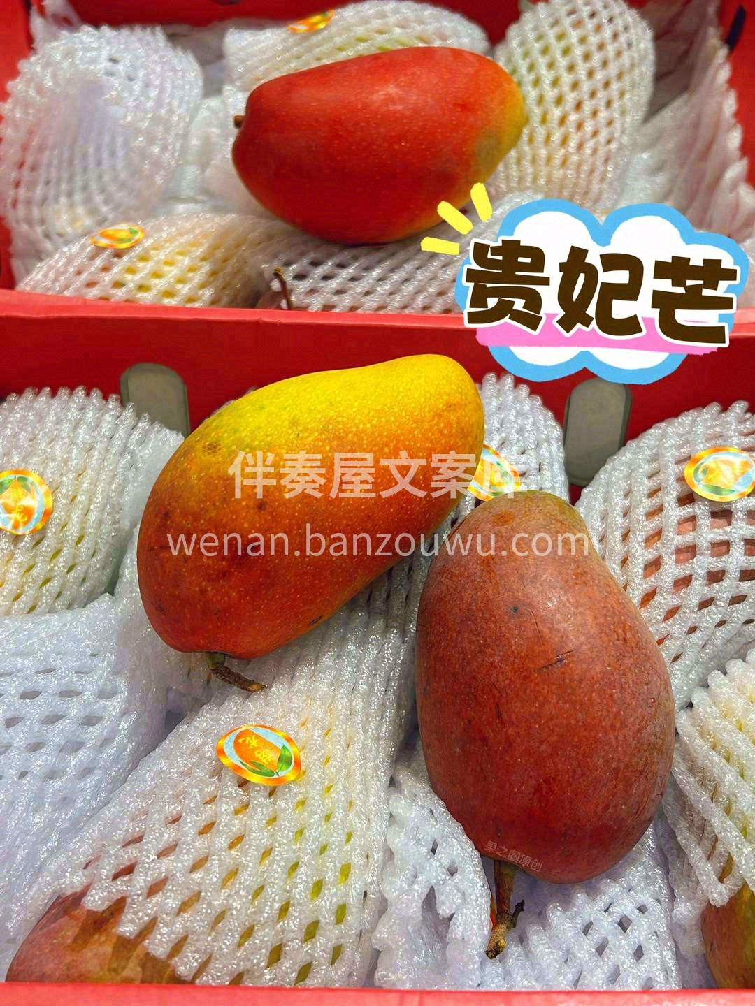 贵妃芒🥭 好吃又好看的芒果💌 味和颜🥰的 配图1