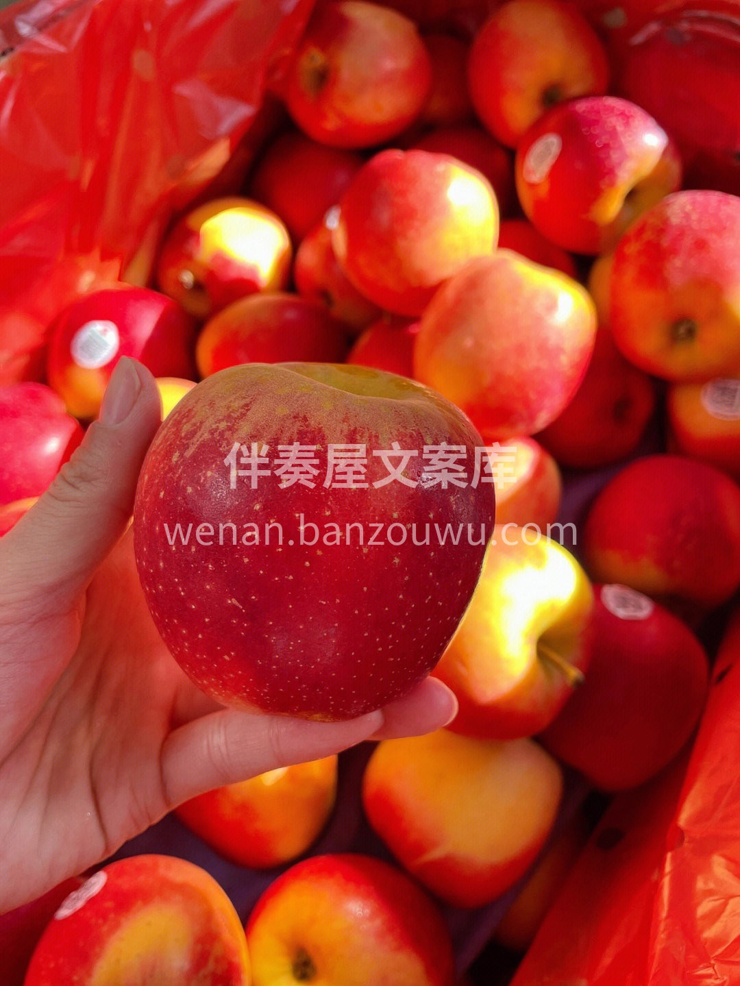 周日☀️早安～☕️ ⁺₊ 𝑯𝒂𝒑𝒑𝒚·🖐🏻ˁ῁̮ˀᖴᖇIᗪᗩ 配图6