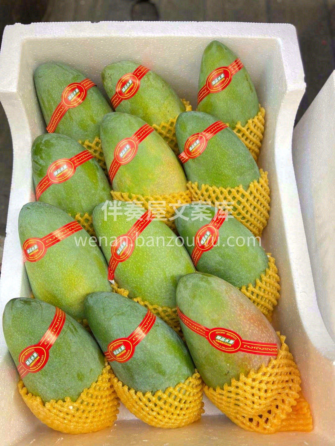 🍃那么绿的外表下内心这么黄💛 🧚‍♀️它 配图3