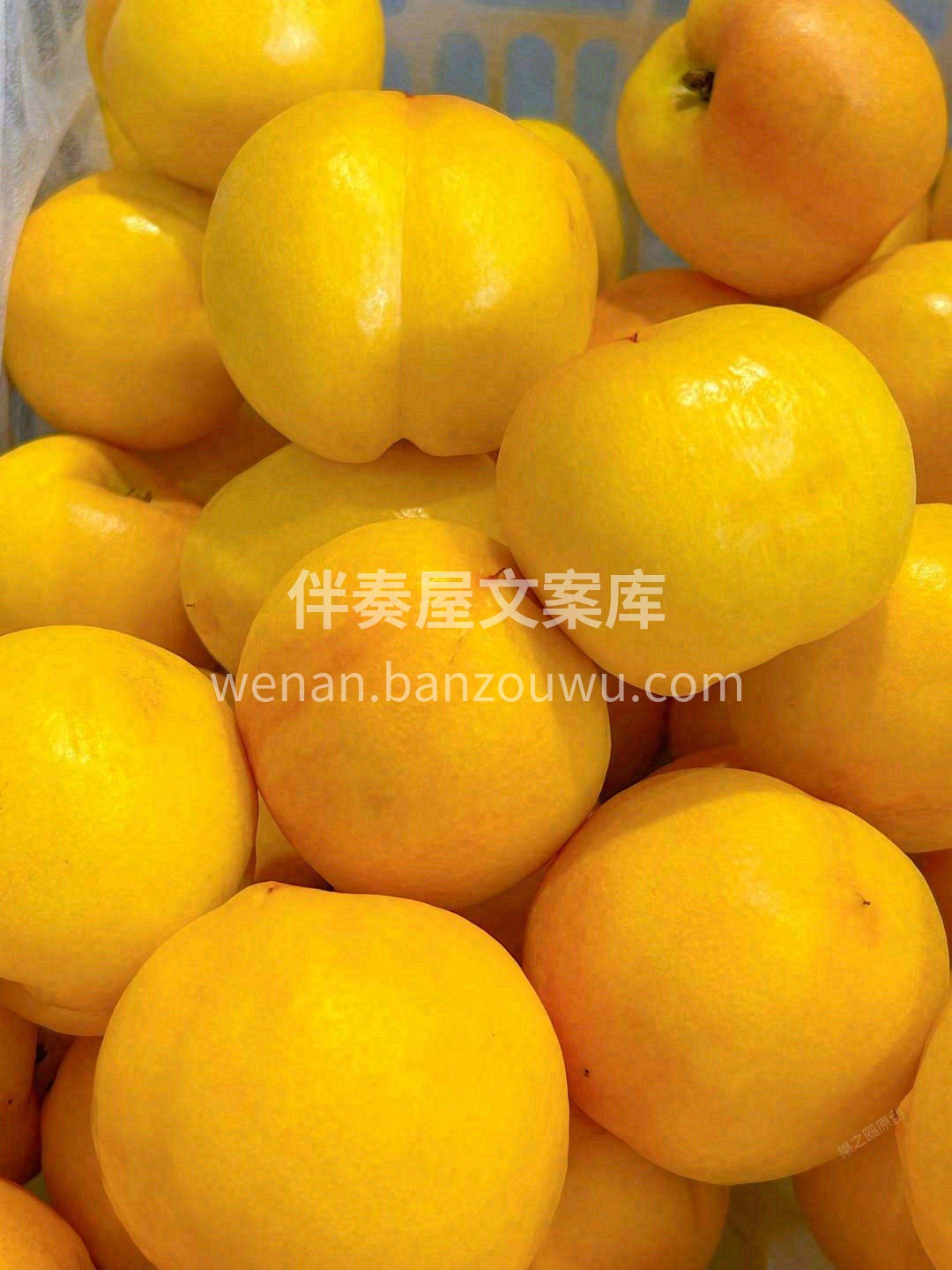 🌿小店日常记录✨ 每日新鲜水果到货🍎🍌🍇 让你在忙碌中也能享 配图4