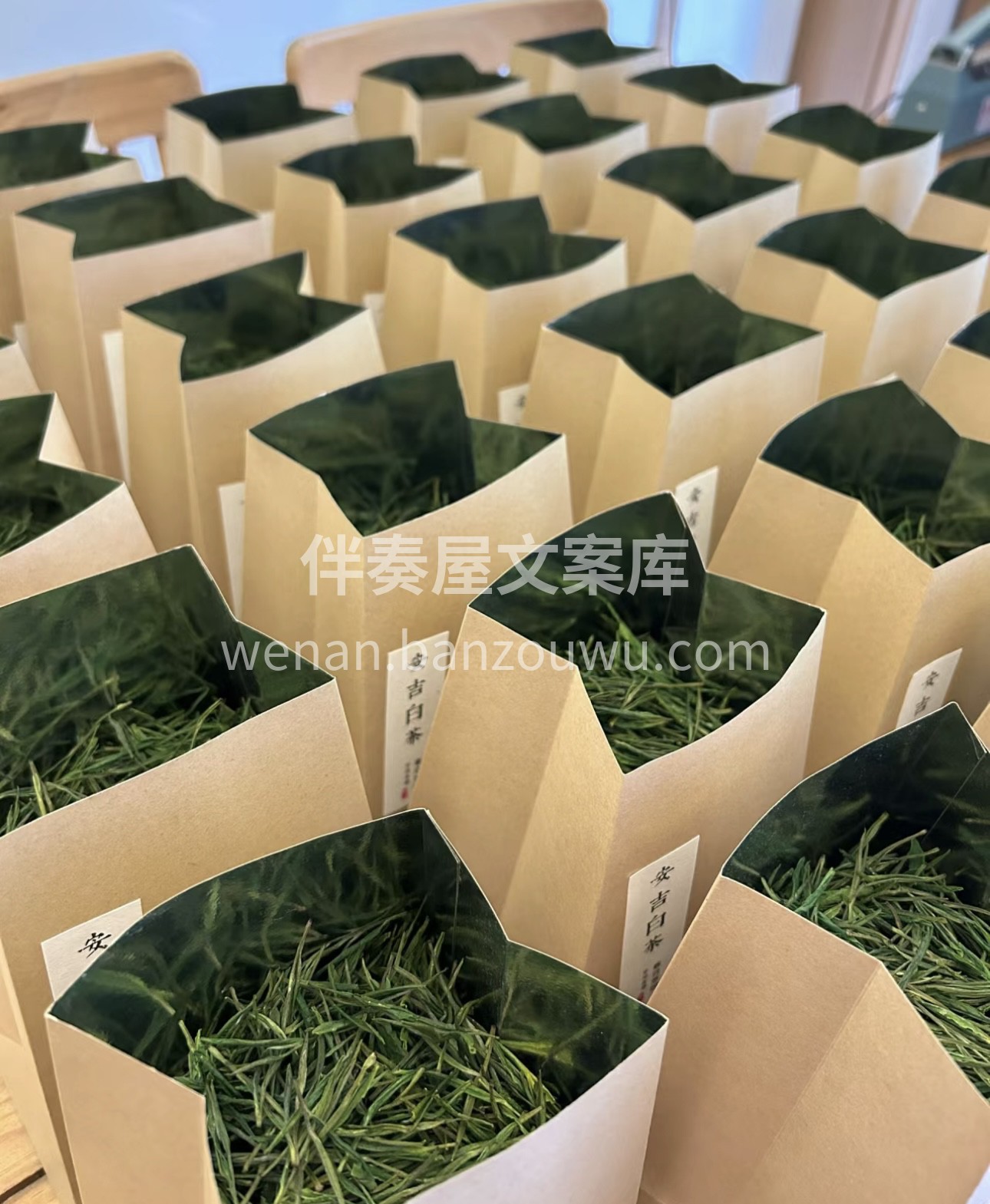 安吉白茶以“鲜如鸡汤、香幽若兰”而著名。 配图1