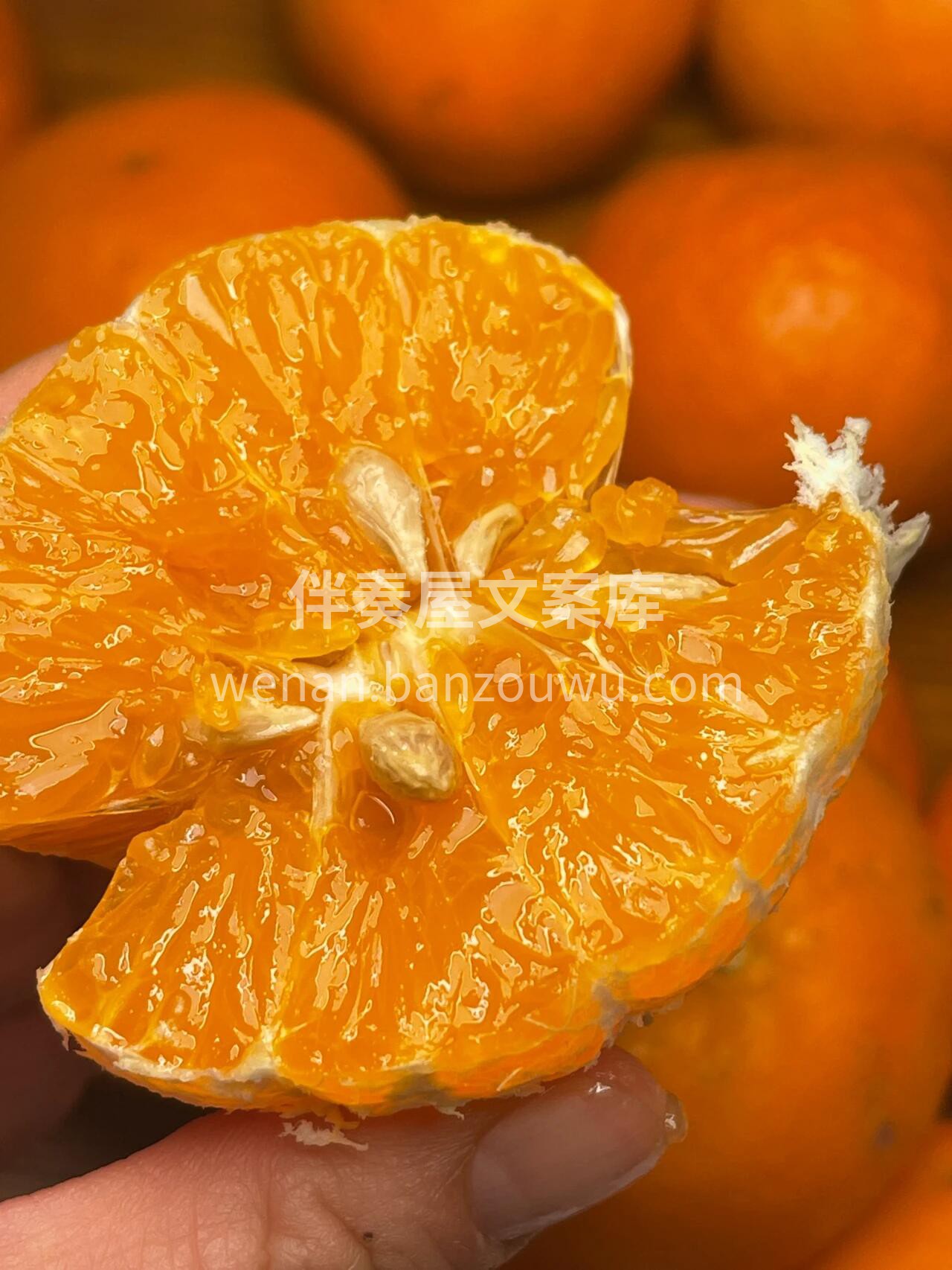 🍊 沃柑上市啦！🍊 果皮光滑好剥👌一撕就 配图3