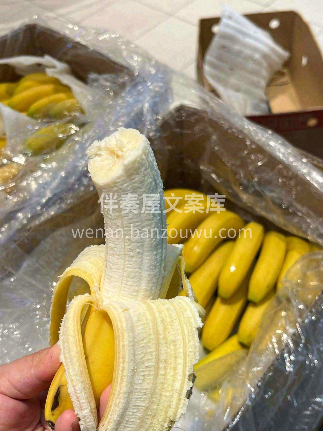 甜到飞起的傲“蕉”者🍌 每一口都是您理想 配图2