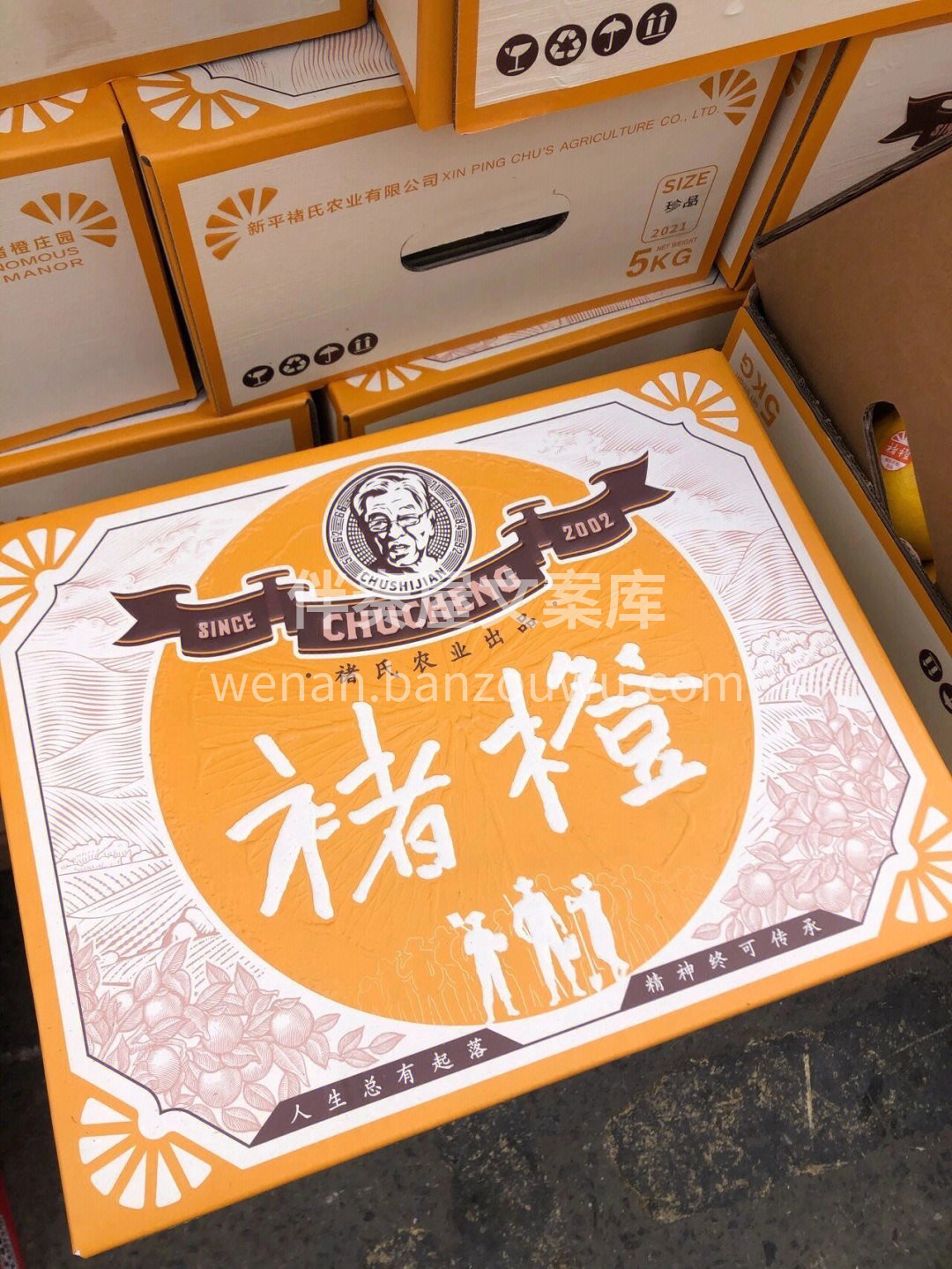 🍭🍭❤️人生总有起落，精神始终传承💪 🍊 配图3