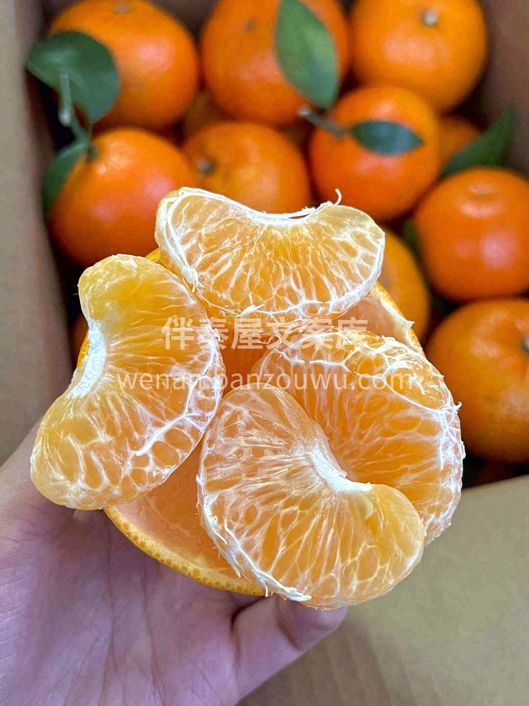 用气味就能征服吃货🧡，橙香浓郁，天然的“ 配图3