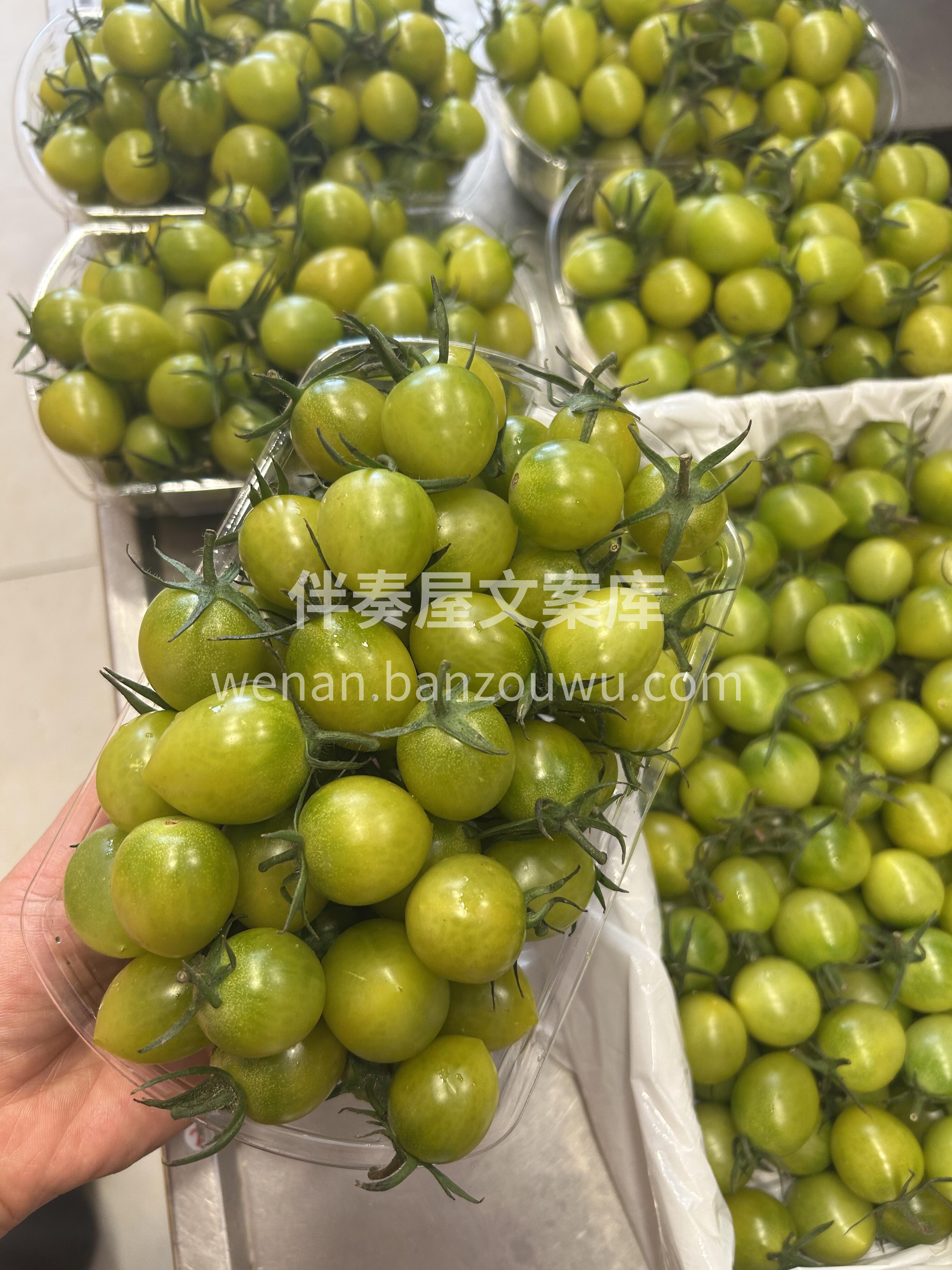 🌿这款青口蜜，完全不用担心涩口的青番茄👍 配图1