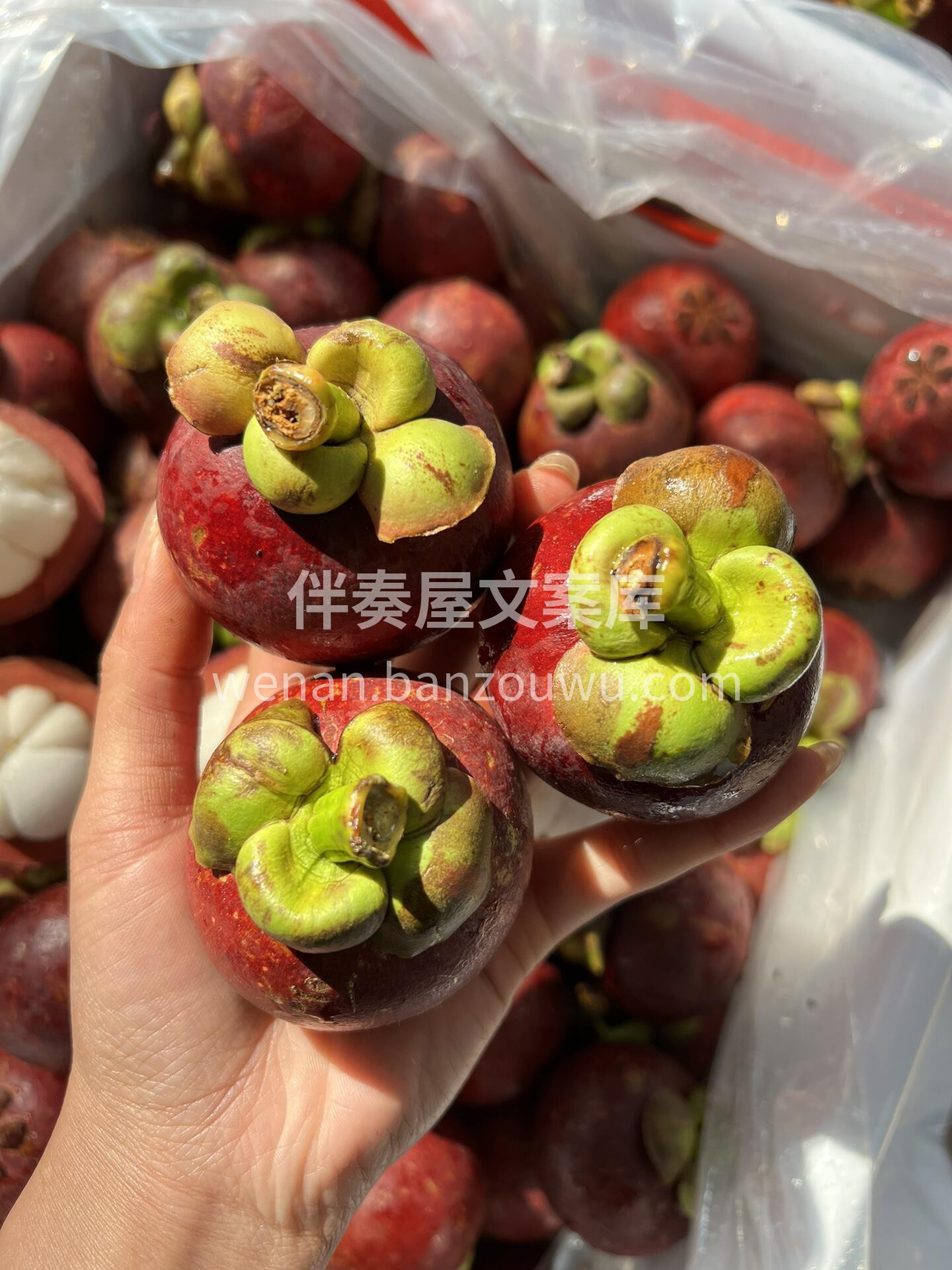 ❤️不要问我在不在🙈 😎年纪轻轻怎么会不 配图3
