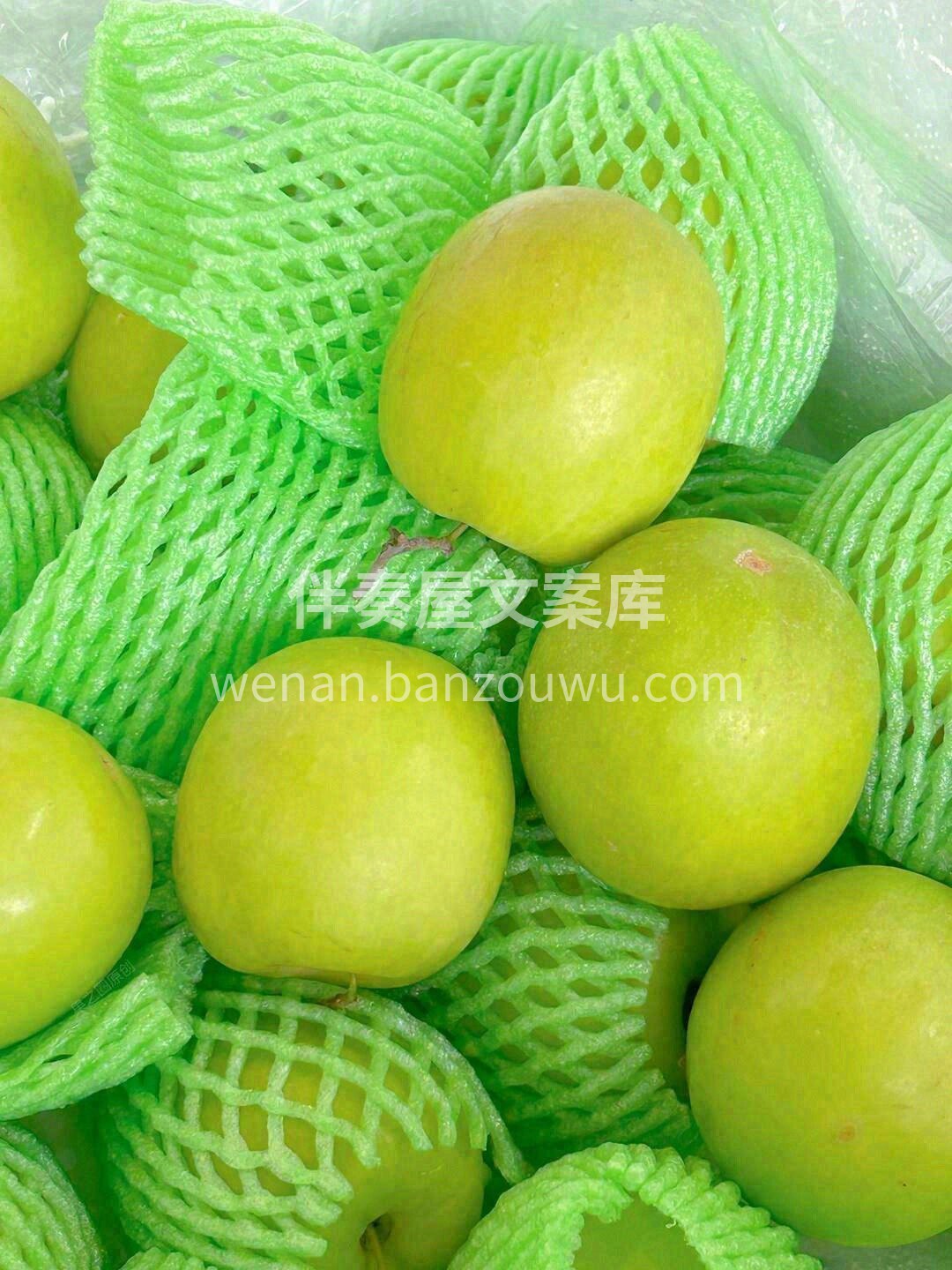 ☘️清甜爽口的奶酥苹果枣❗️ 天然维C小 配图2