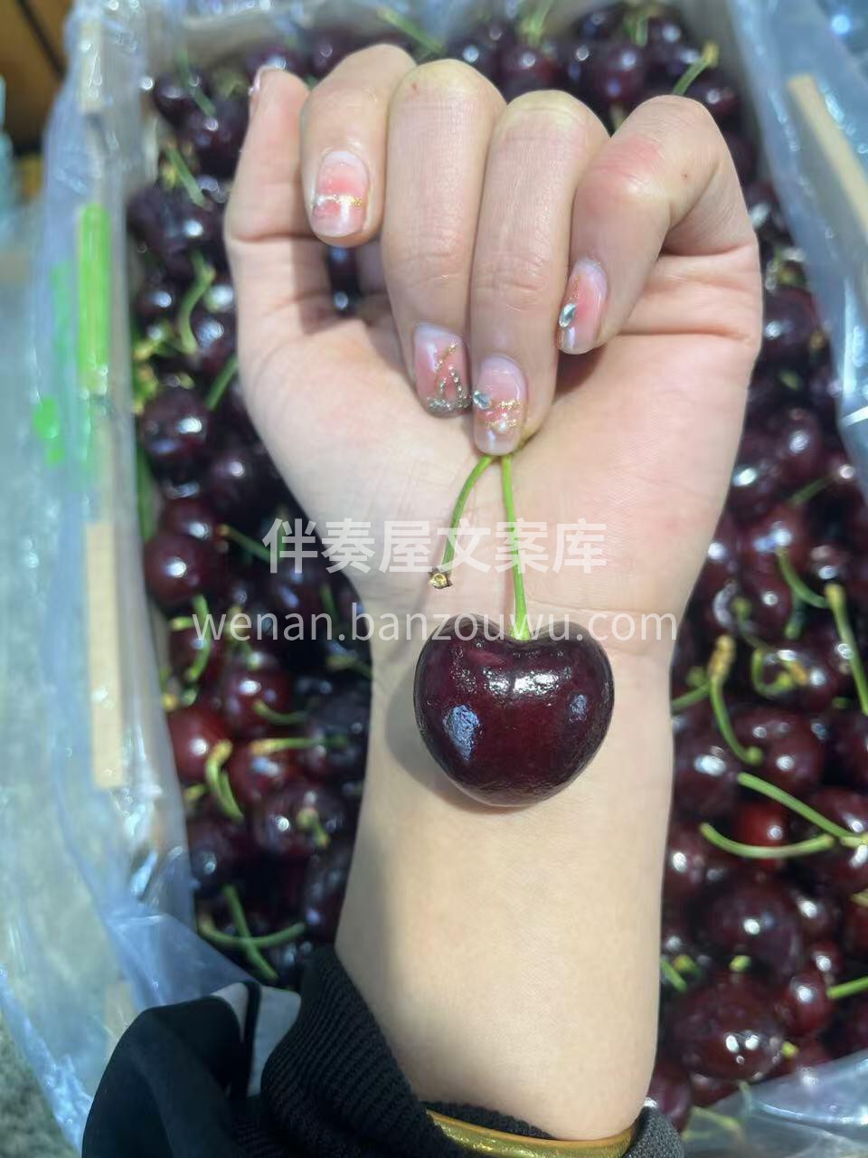 🍃 车厘子桑缇娜🍒一款全家人都喜爱的水果 配图1