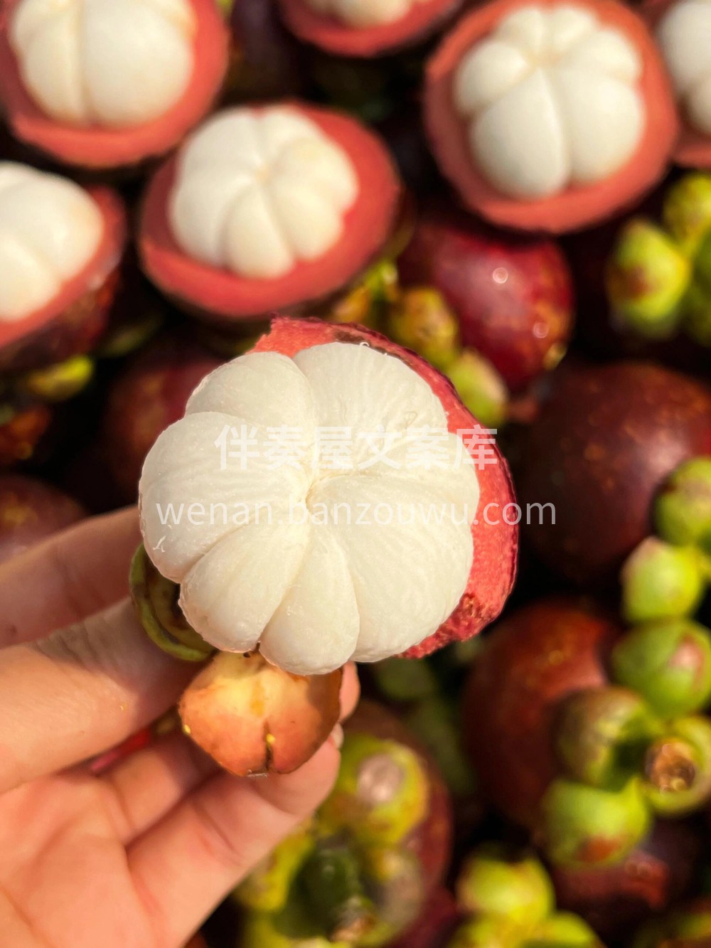 新鲜极了🌸今天到的山竹品质太绝了，新鲜看 配图2