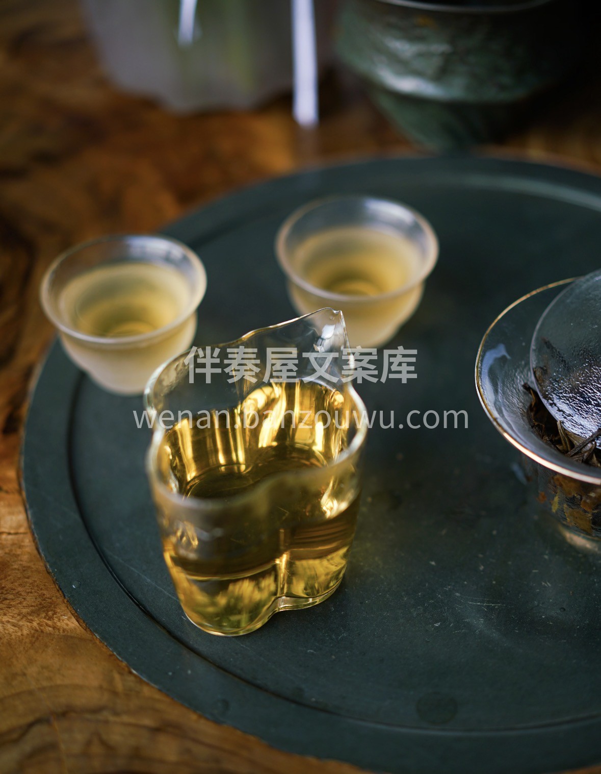 冬日围炉正当时🔥 一杯福鼎白牡丹，毫香蜜 配图3