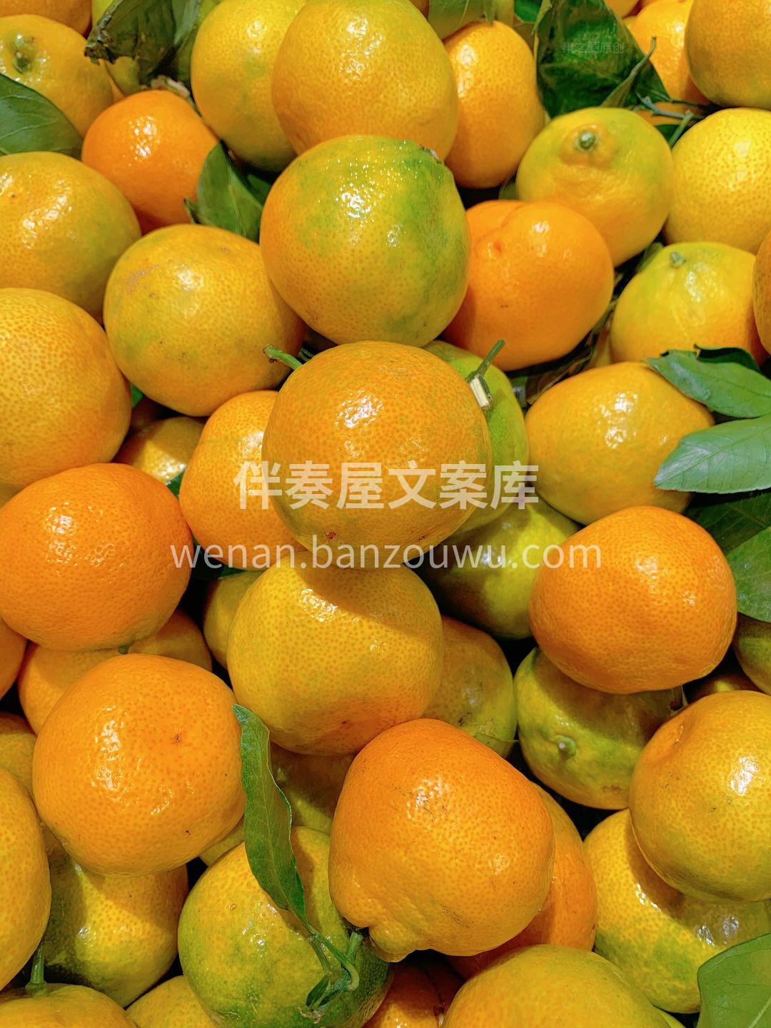 ⬆超高的维生素C和柠檬酸，不仅让蜜桔风味 配图1