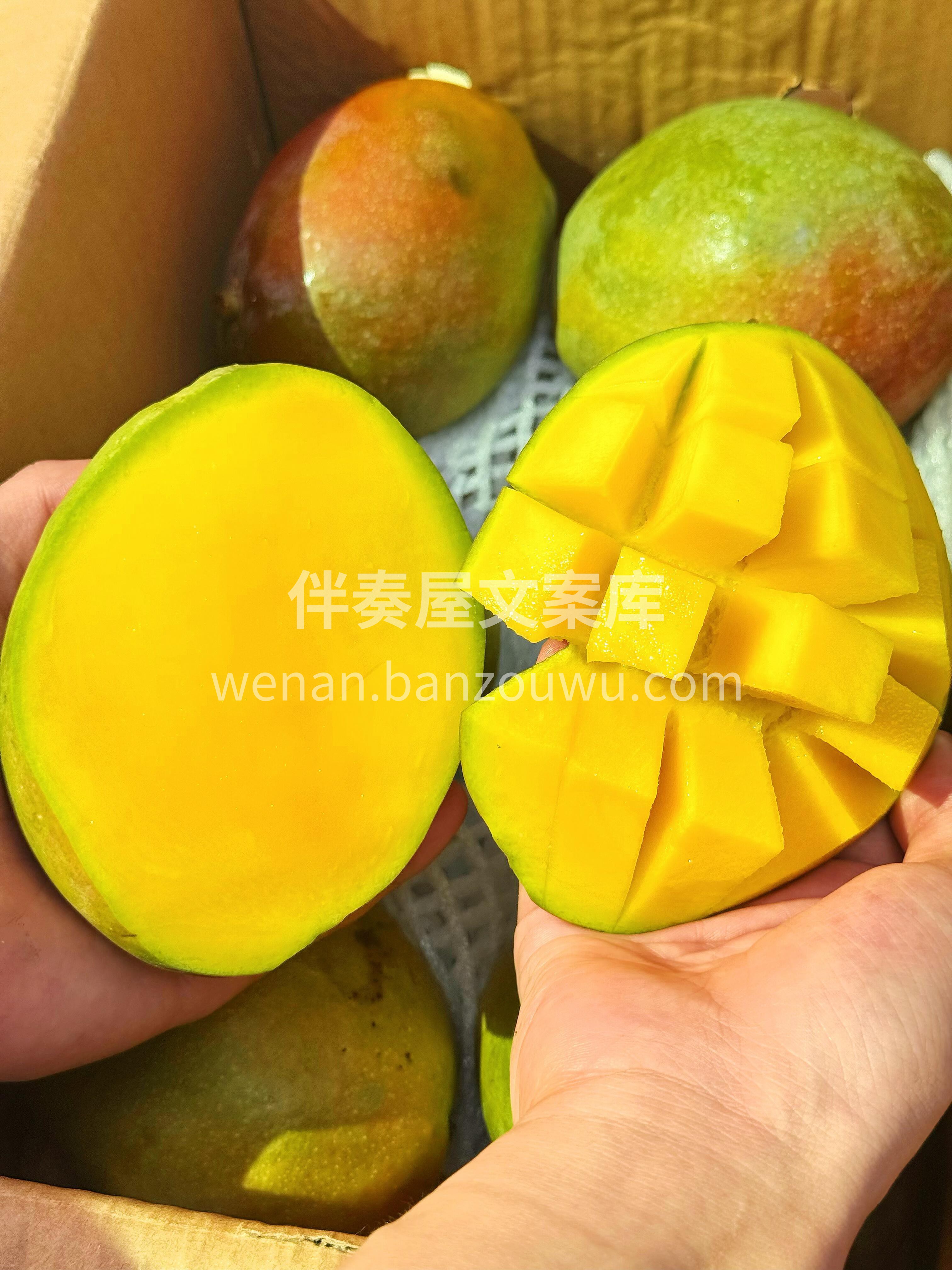 🥭 澳芒上市啦！🥭 个头超大果肉厚～一个 配图1