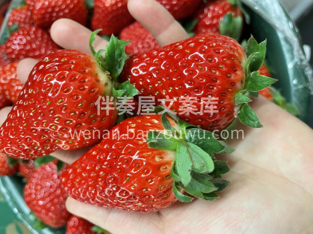 “少女心的收割机”🌹🌹，每一颗都能给你心 配图2
