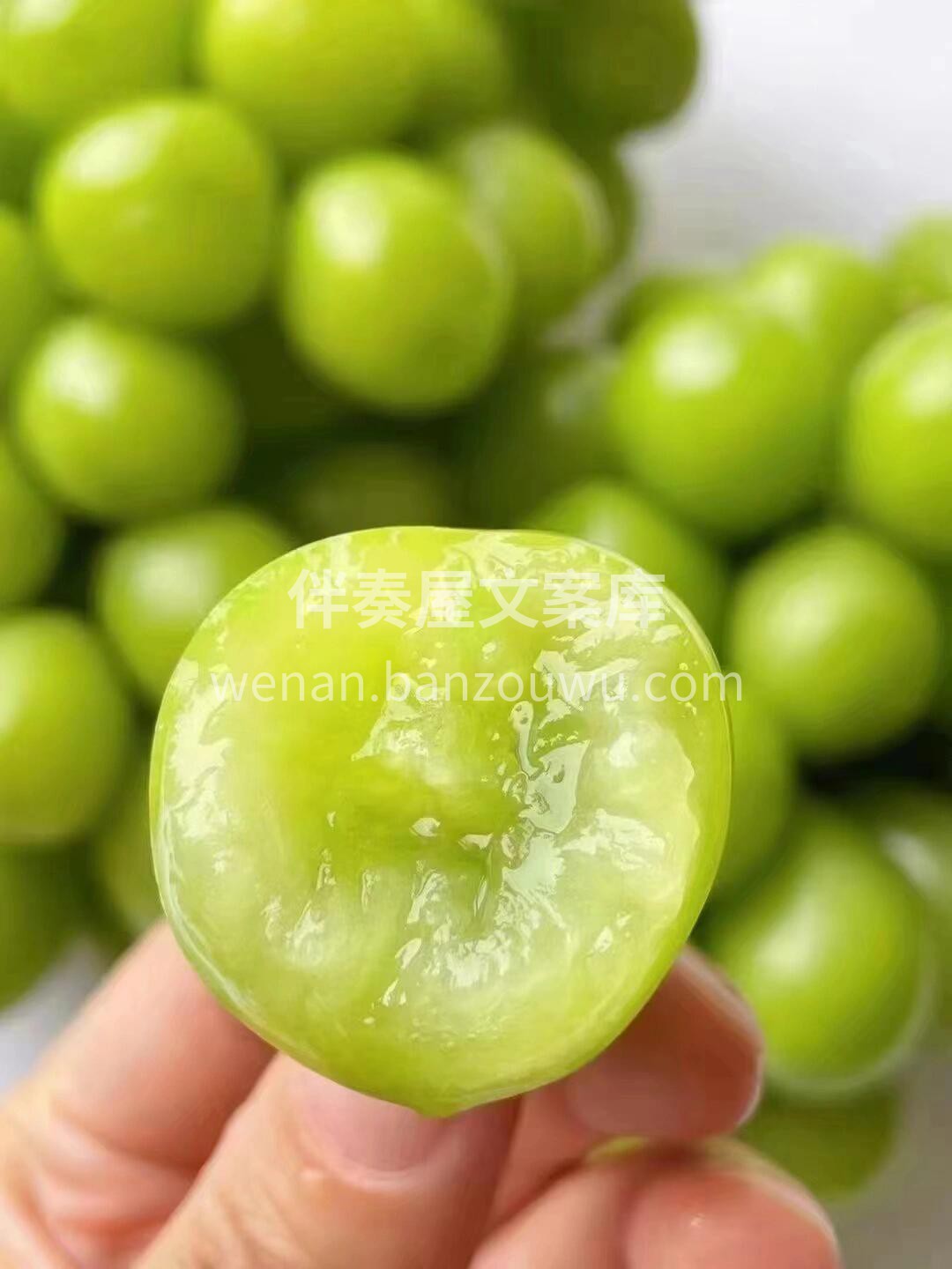 😍一颗阳光玫瑰的快乐，是十串普通青提都换 配图2