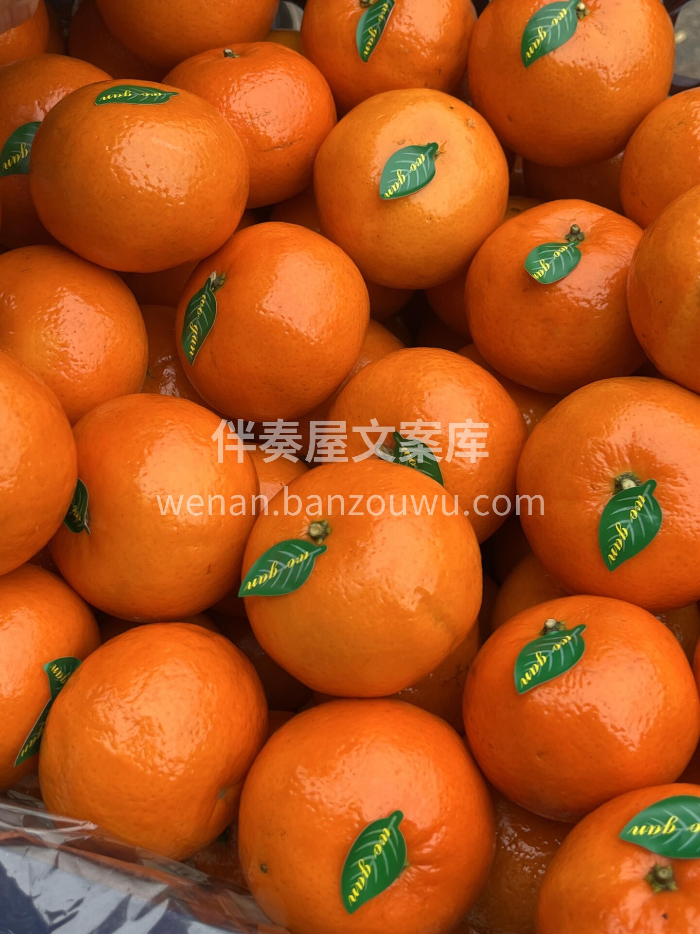 🍊爆汁水果，又是一年沃柑季💚 太水灵了！ 配图2