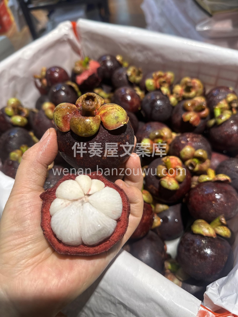 泰国红叶山竹🍃比绿叶山竹更甜一些！红叶山 配图2
